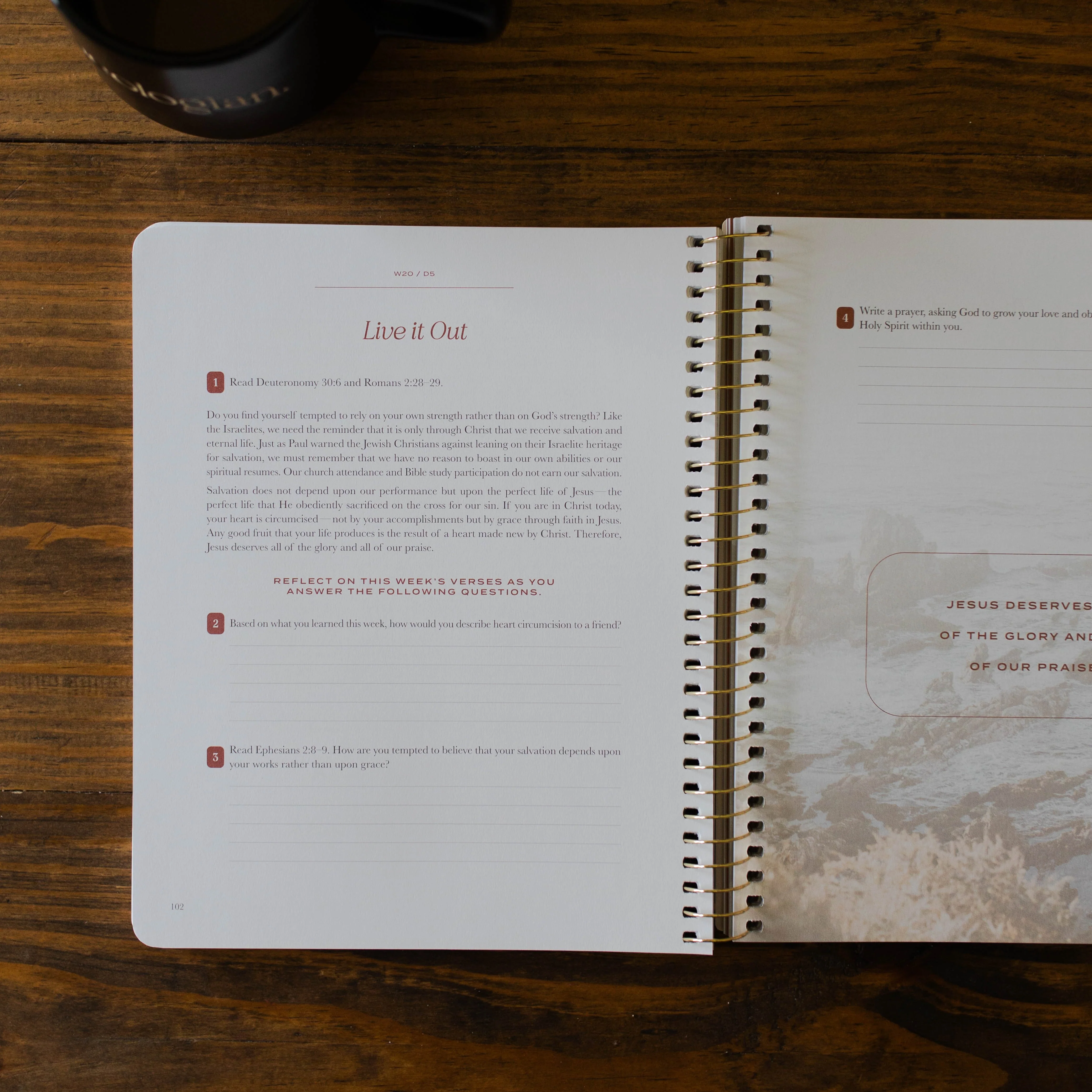 Christ in All of Scripture | Volume 2 - Men - Image 6