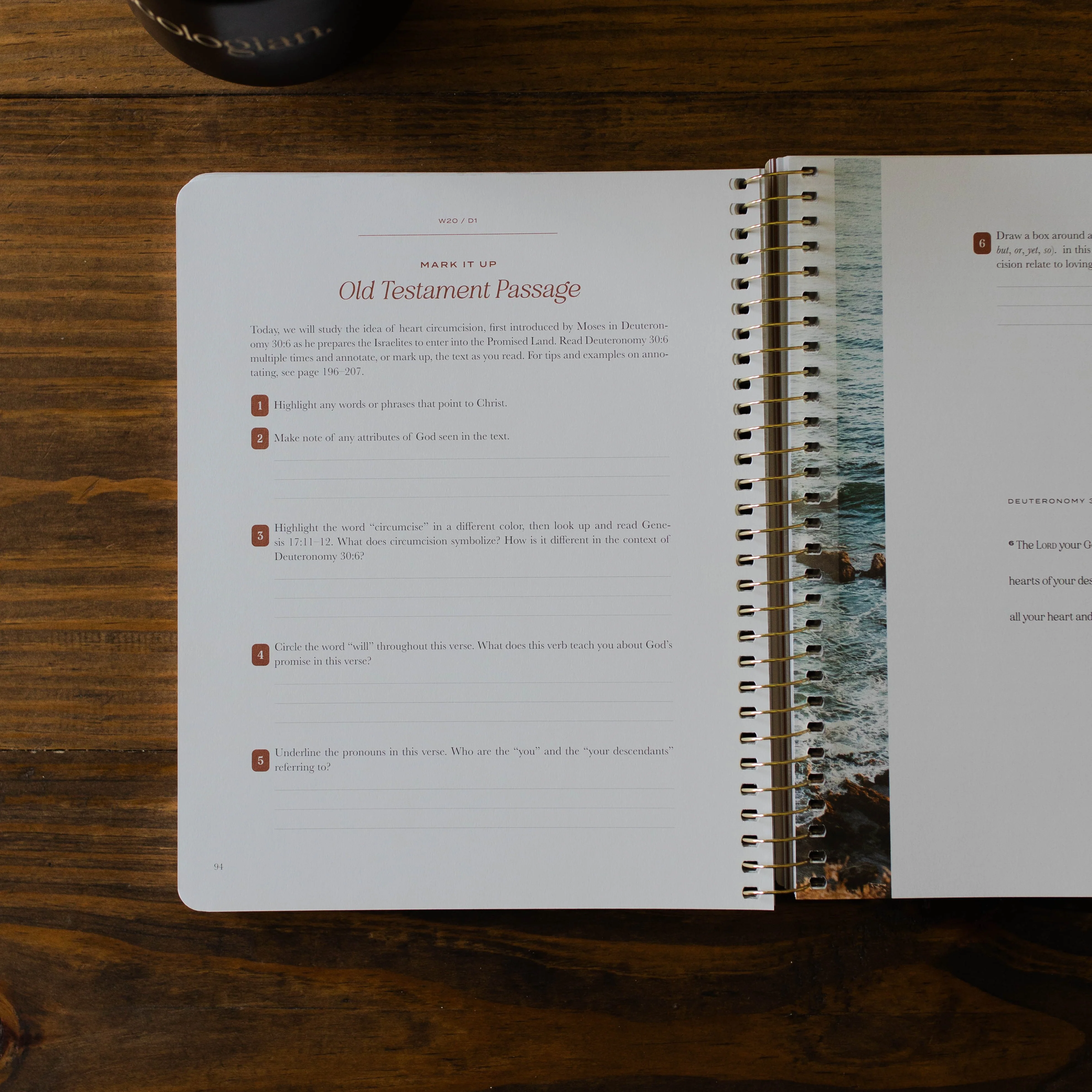 Christ in All of Scripture | Volume 2 - Men - Image 7