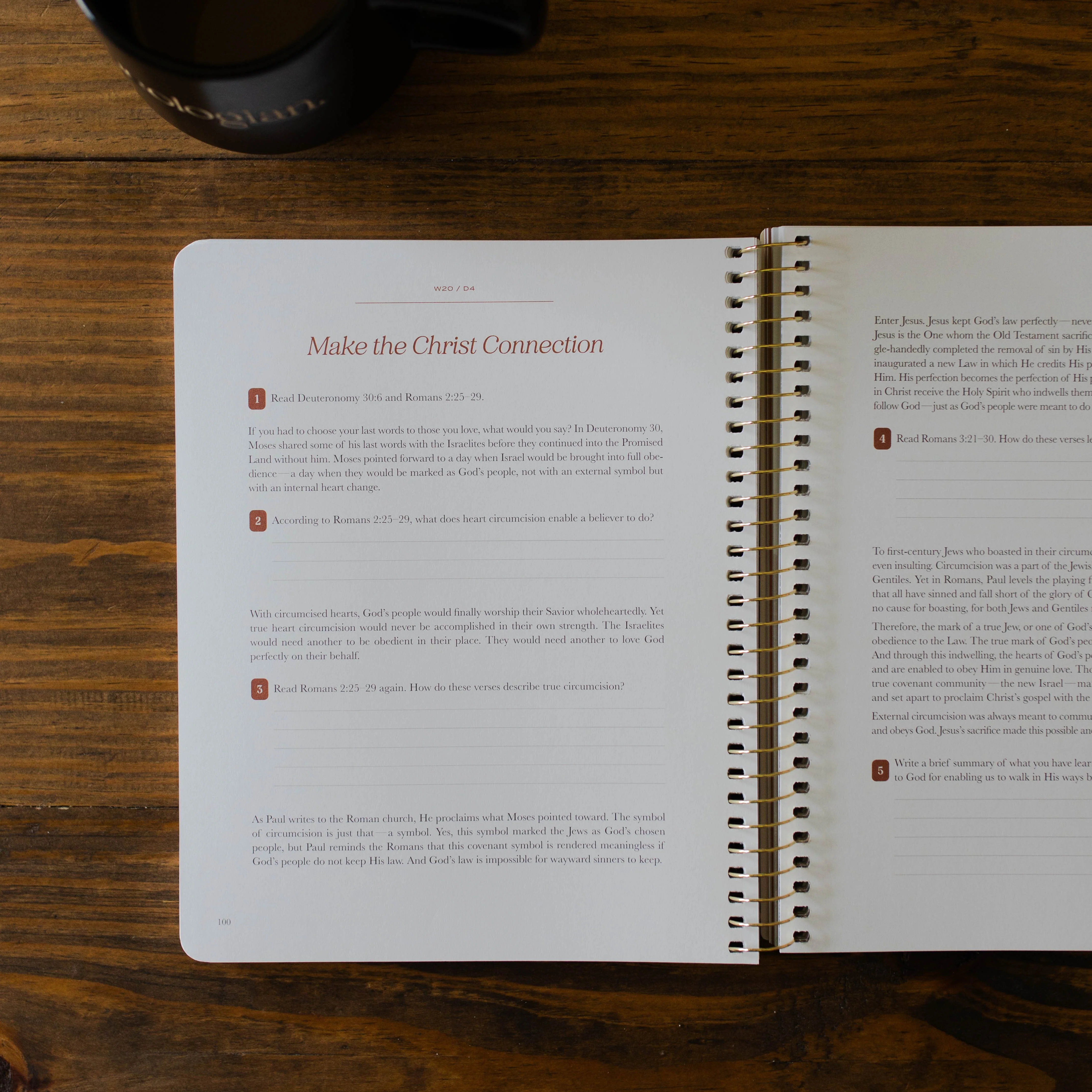 Christ in All of Scripture | Volume 2 - Men - Image 8