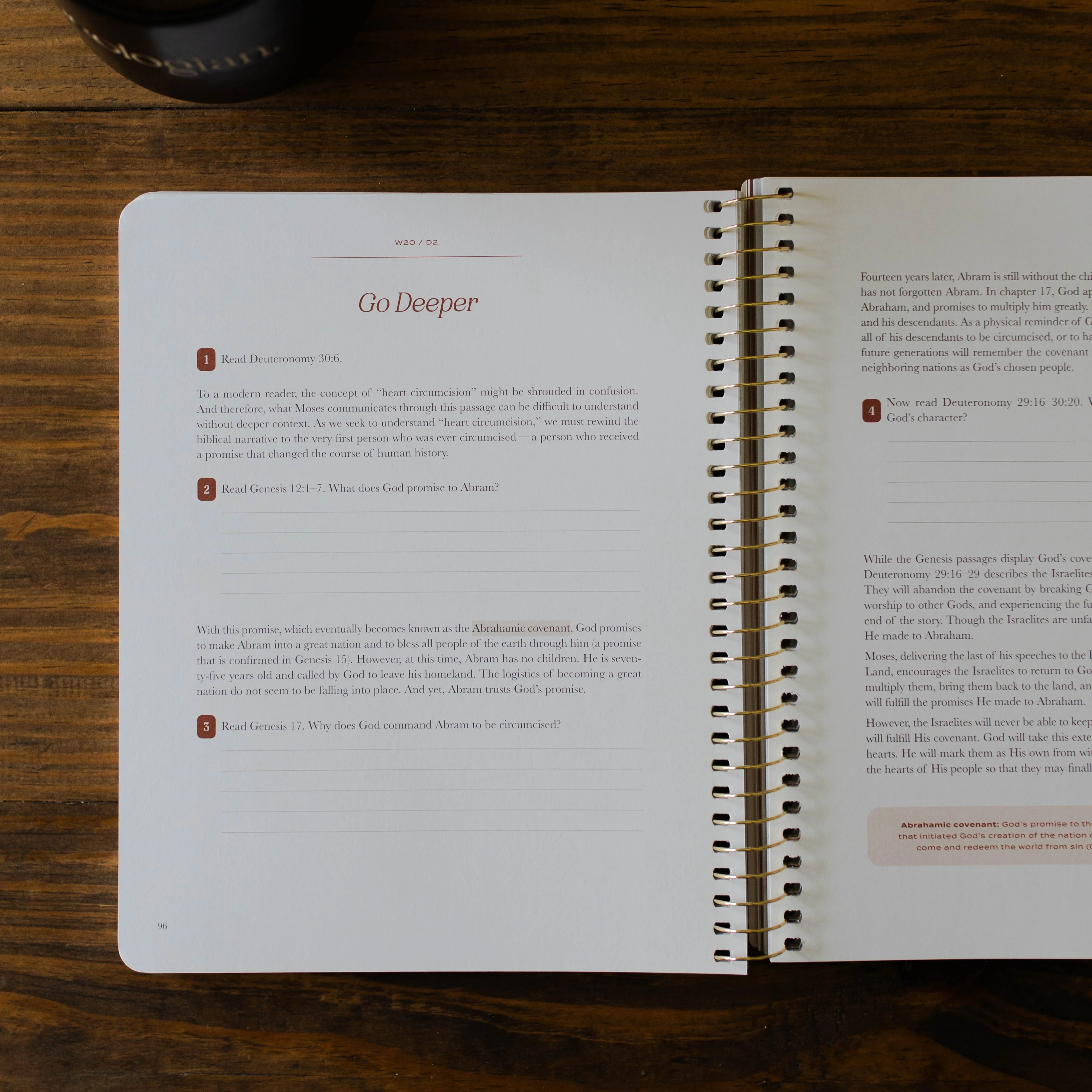 Christ in All of Scripture | Volume 2 - Men - Image 9