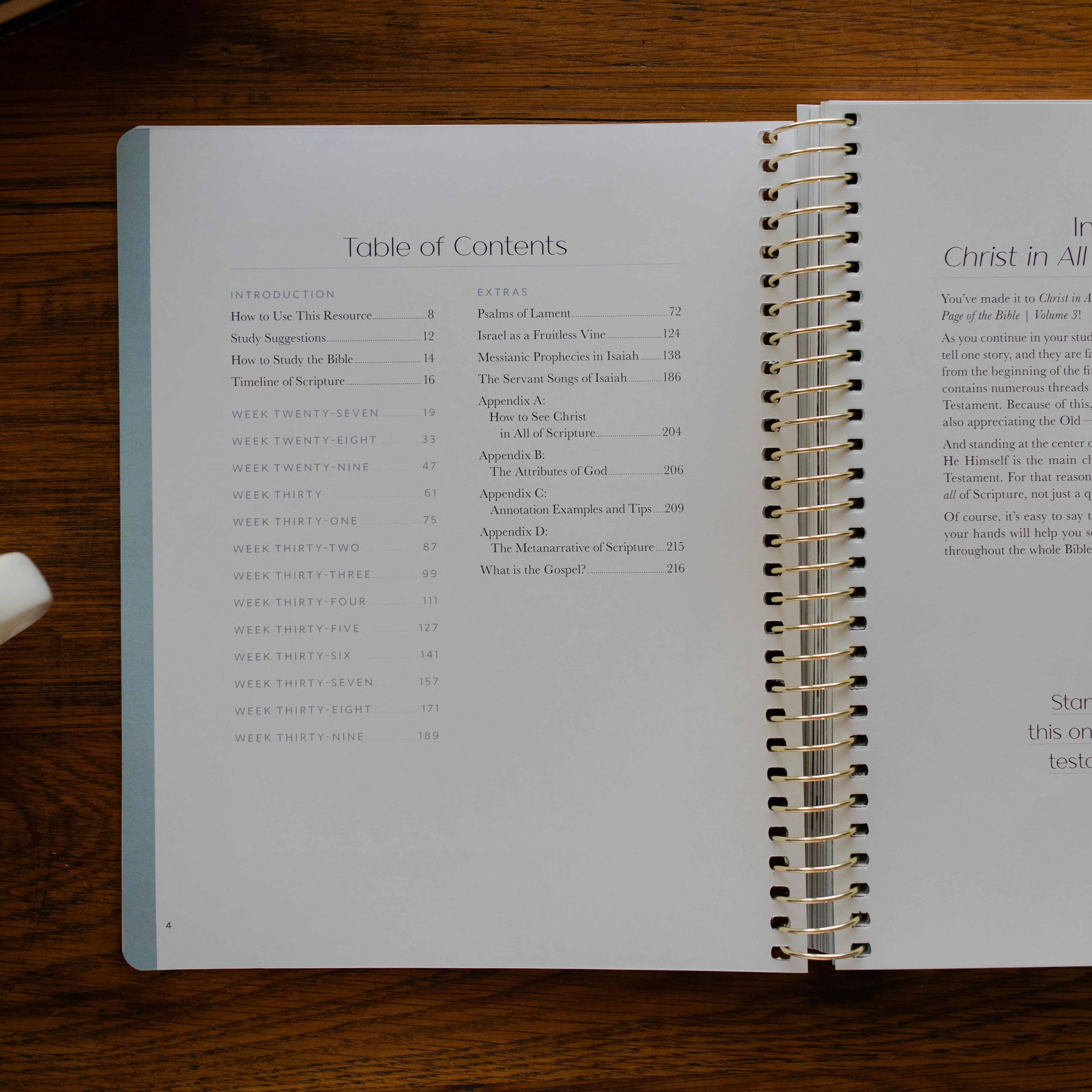Christ in All of Scripture | Volume 3 - Image 5