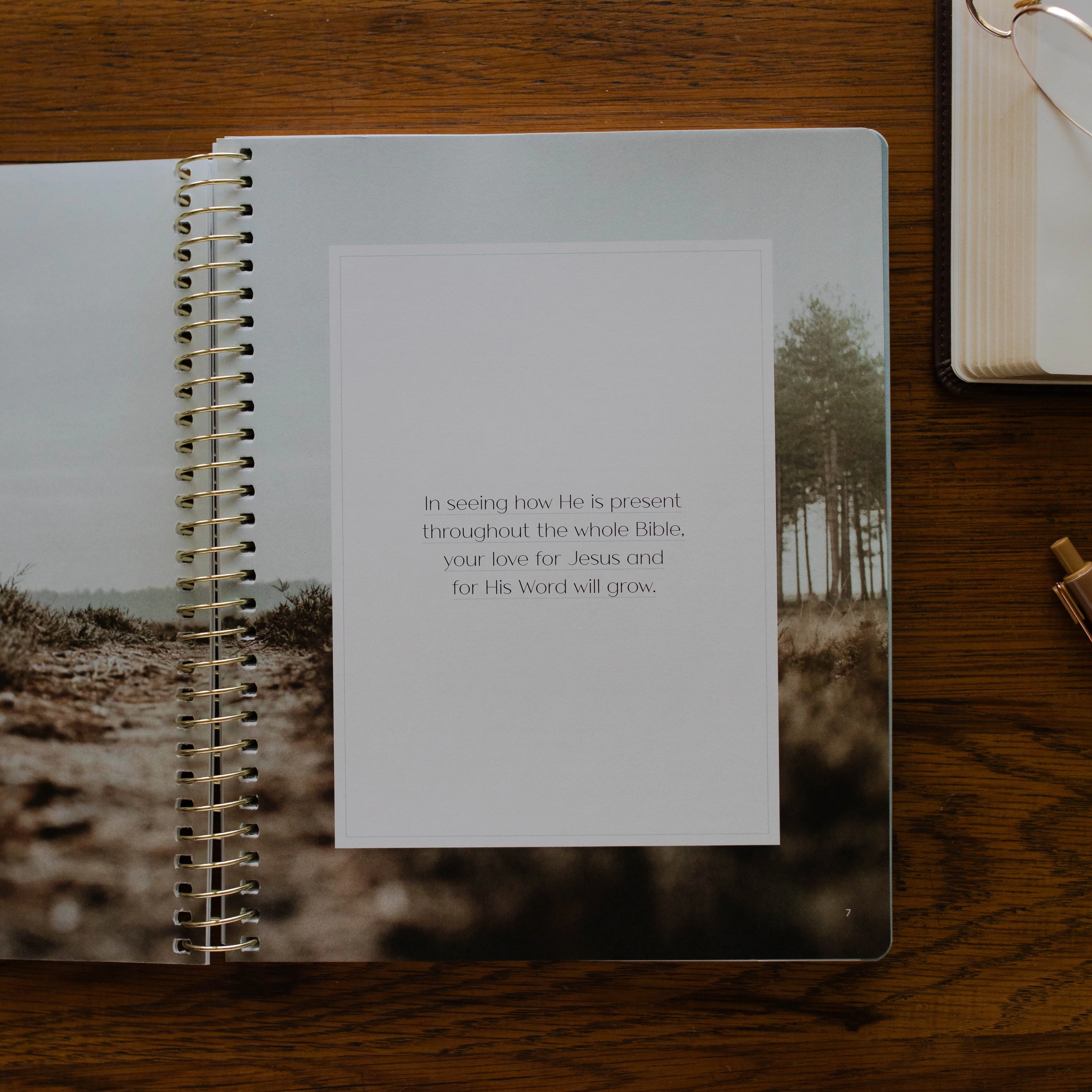 Christ in All of Scripture | Volume 3 - Image 6