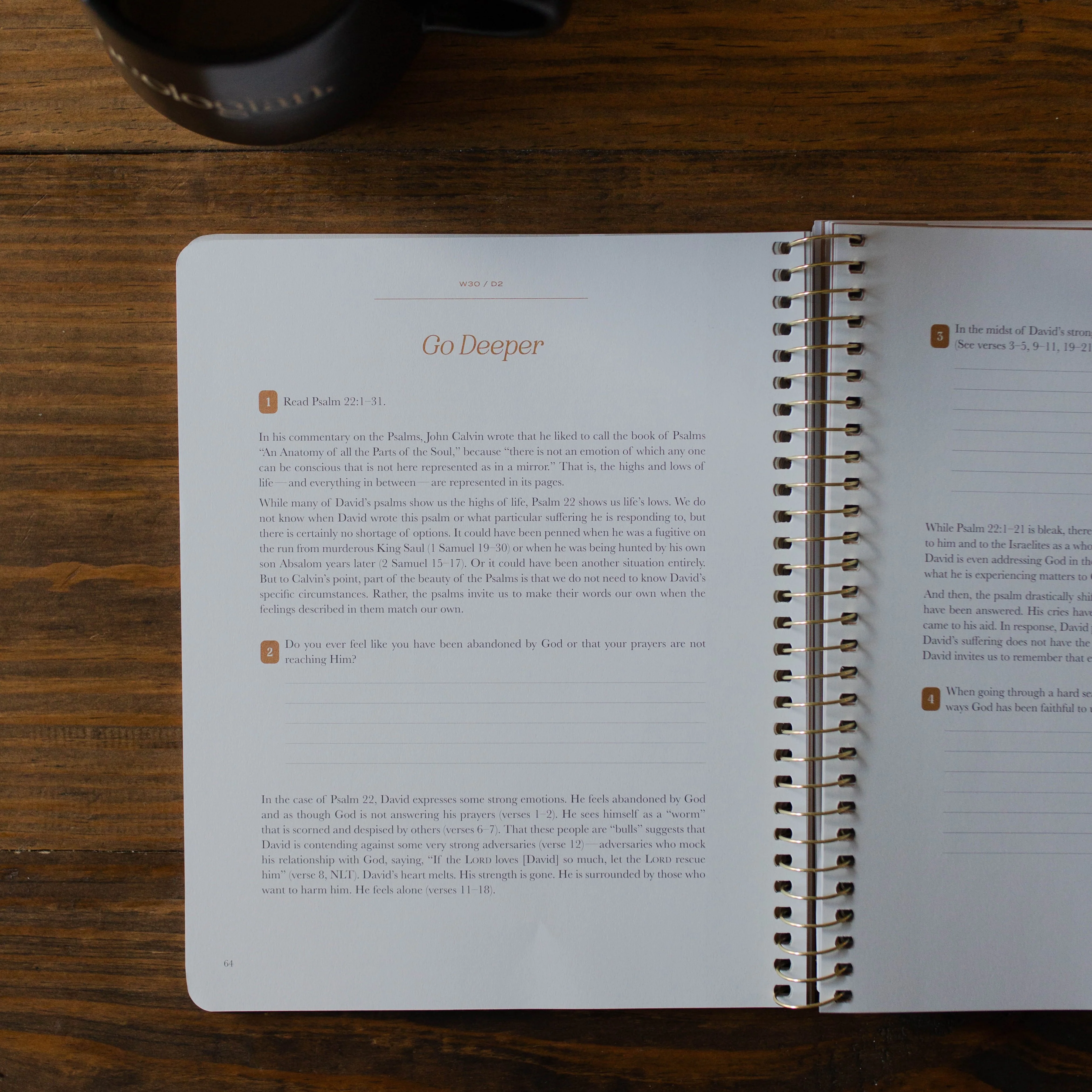 Christ in All of Scripture | Volume 3 - Men - Image 6