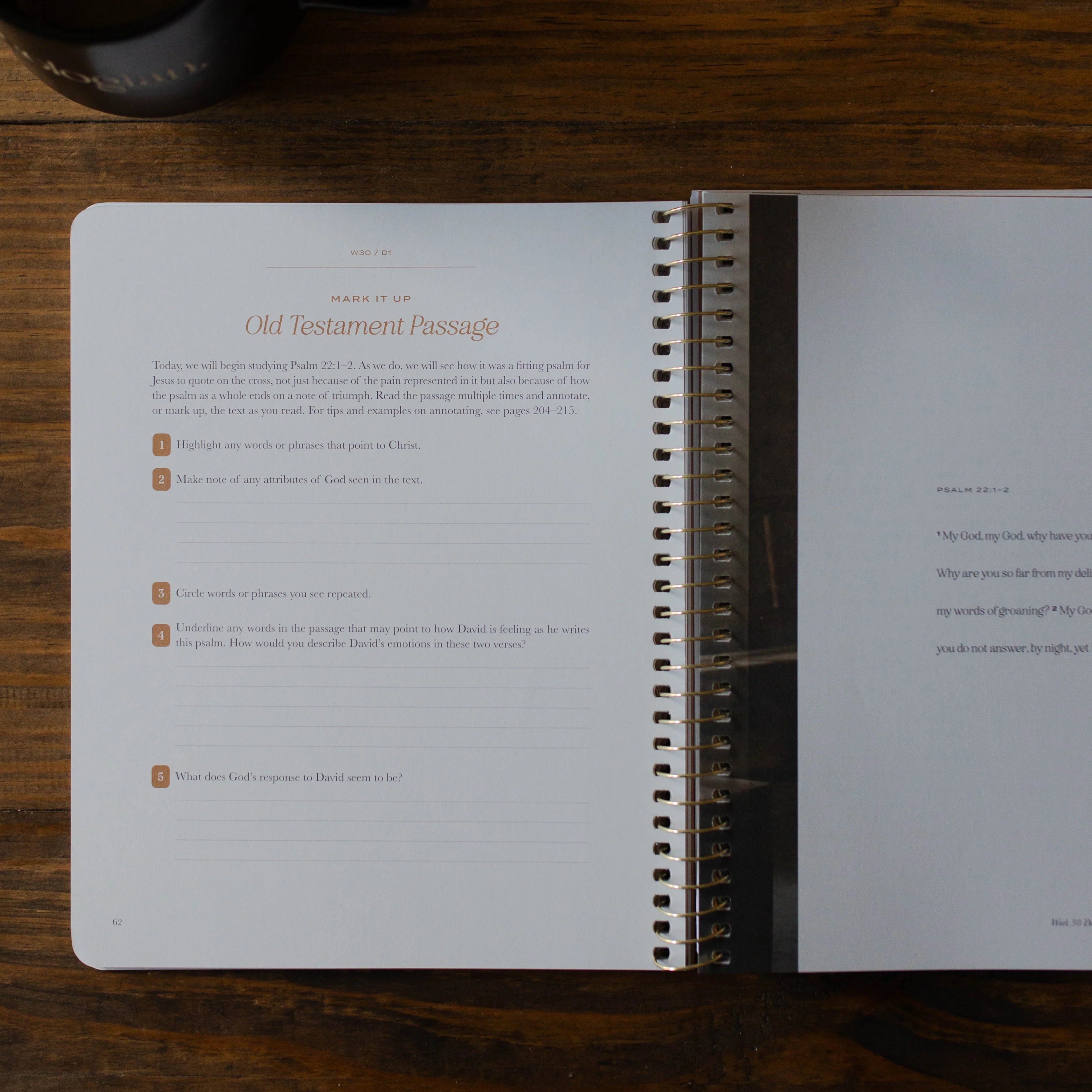 Christ in All of Scripture | Volume 3 - Men - Image 7