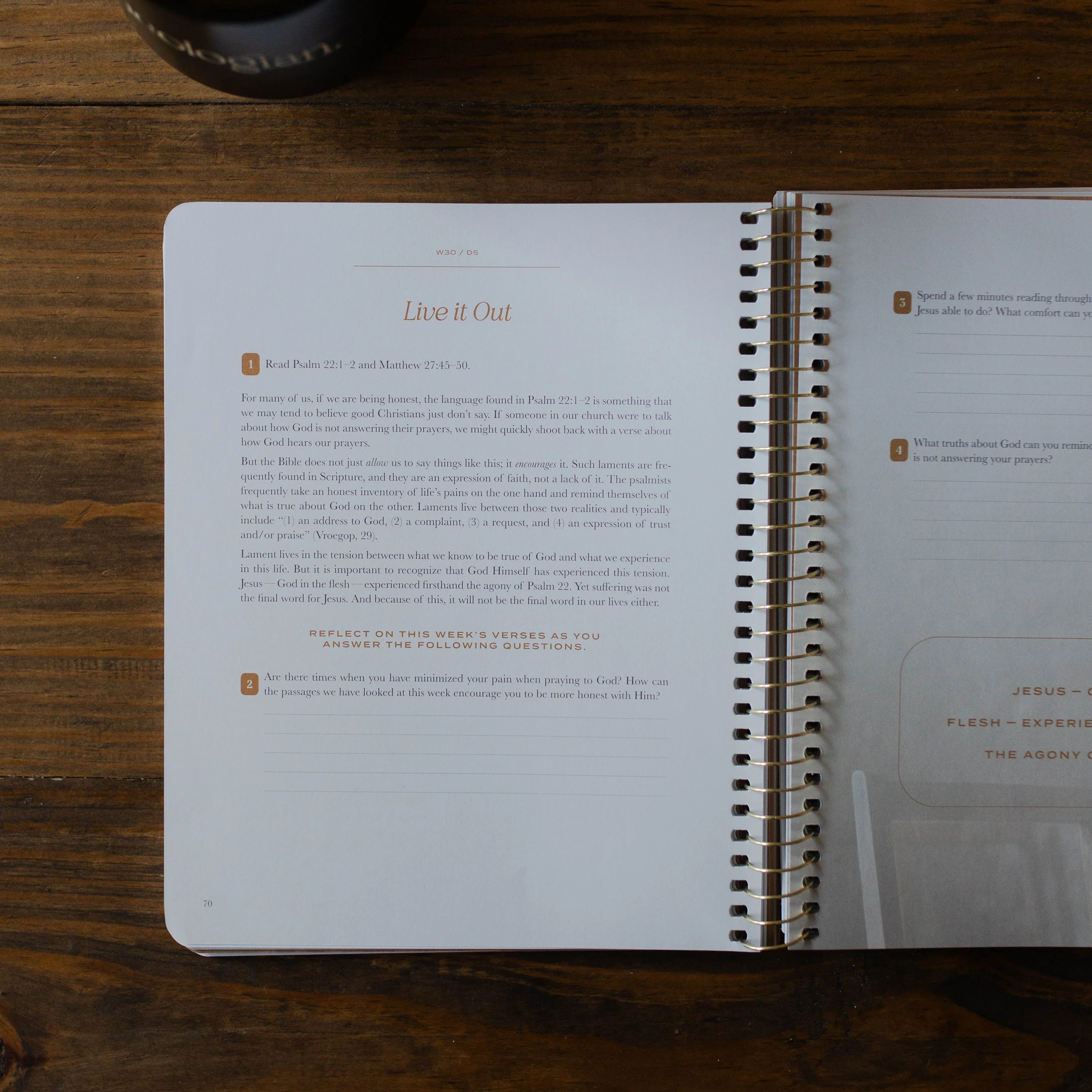 Christ in All of Scripture | Volume 3 - Men - Image 9