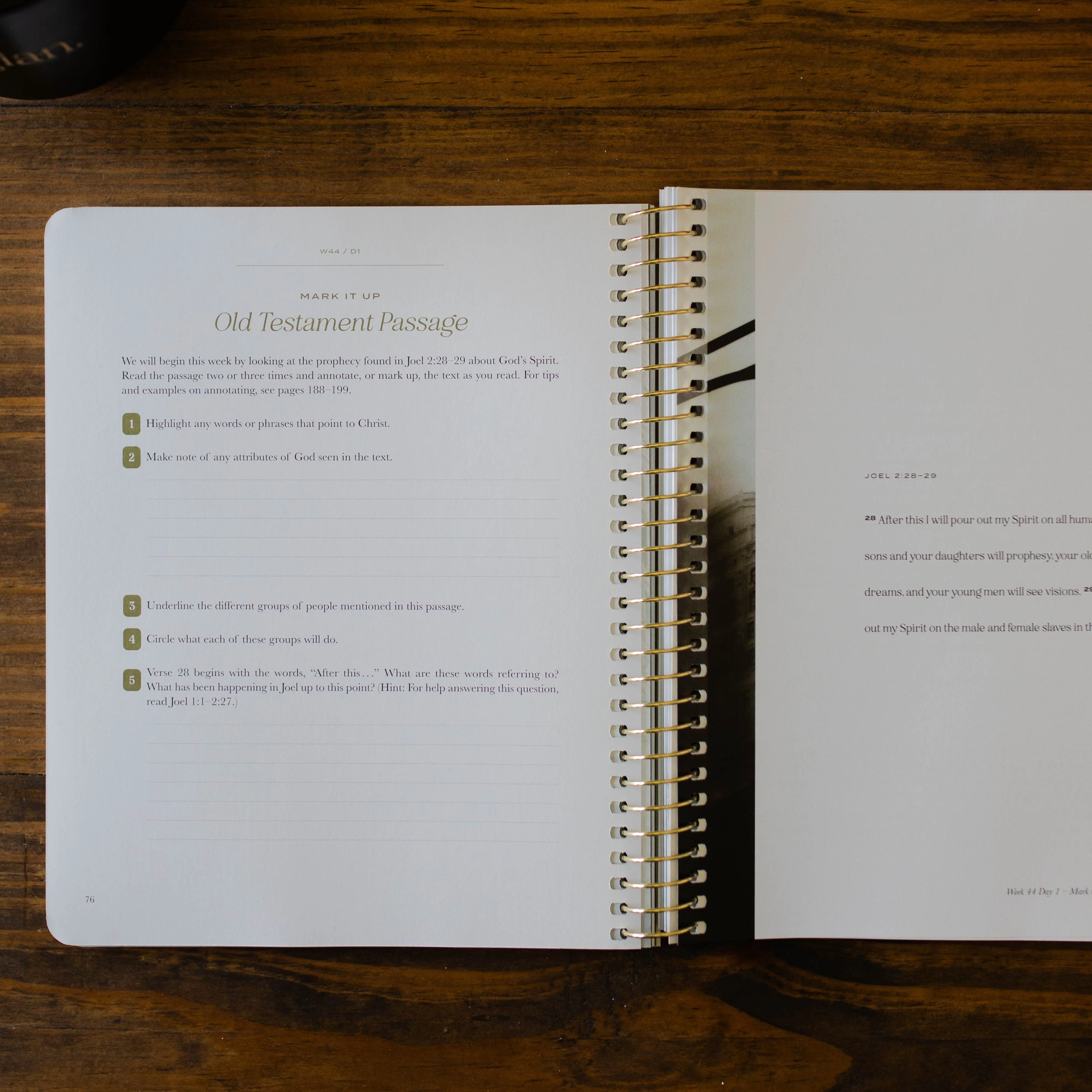 Christ in All of Scripture | Volume 4 - Men - Image 3