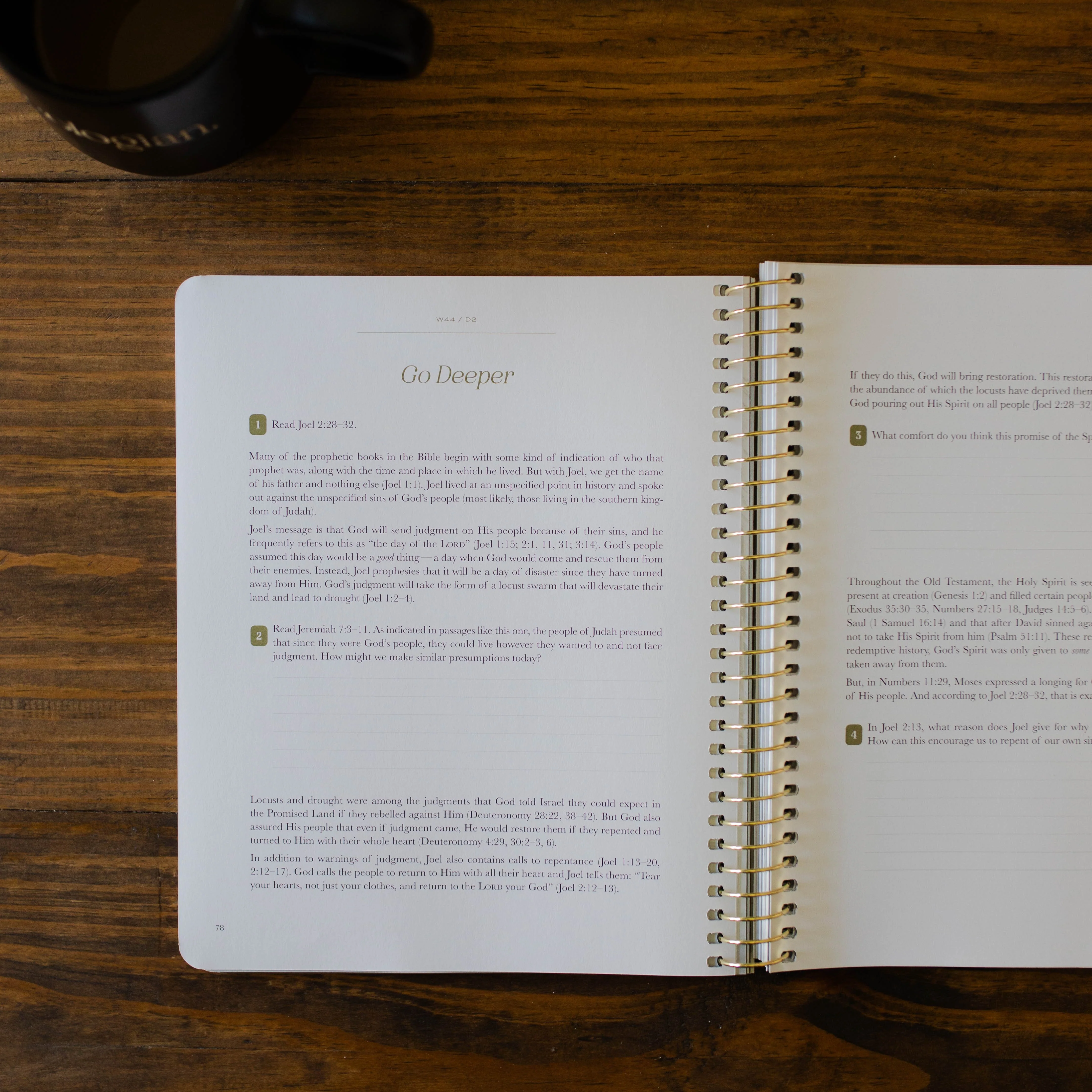 Christ in All of Scripture | Volume 4 - Men - Image 4