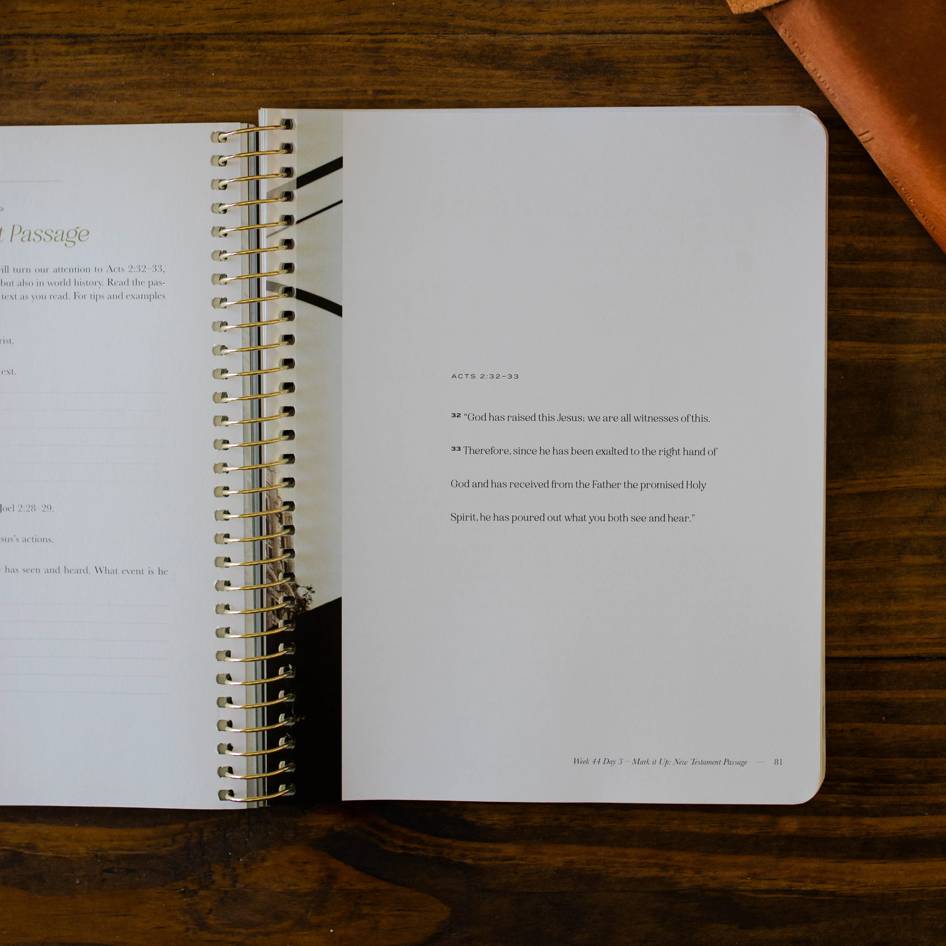 Christ in All of Scripture | Volume 4 - Men - Image 6