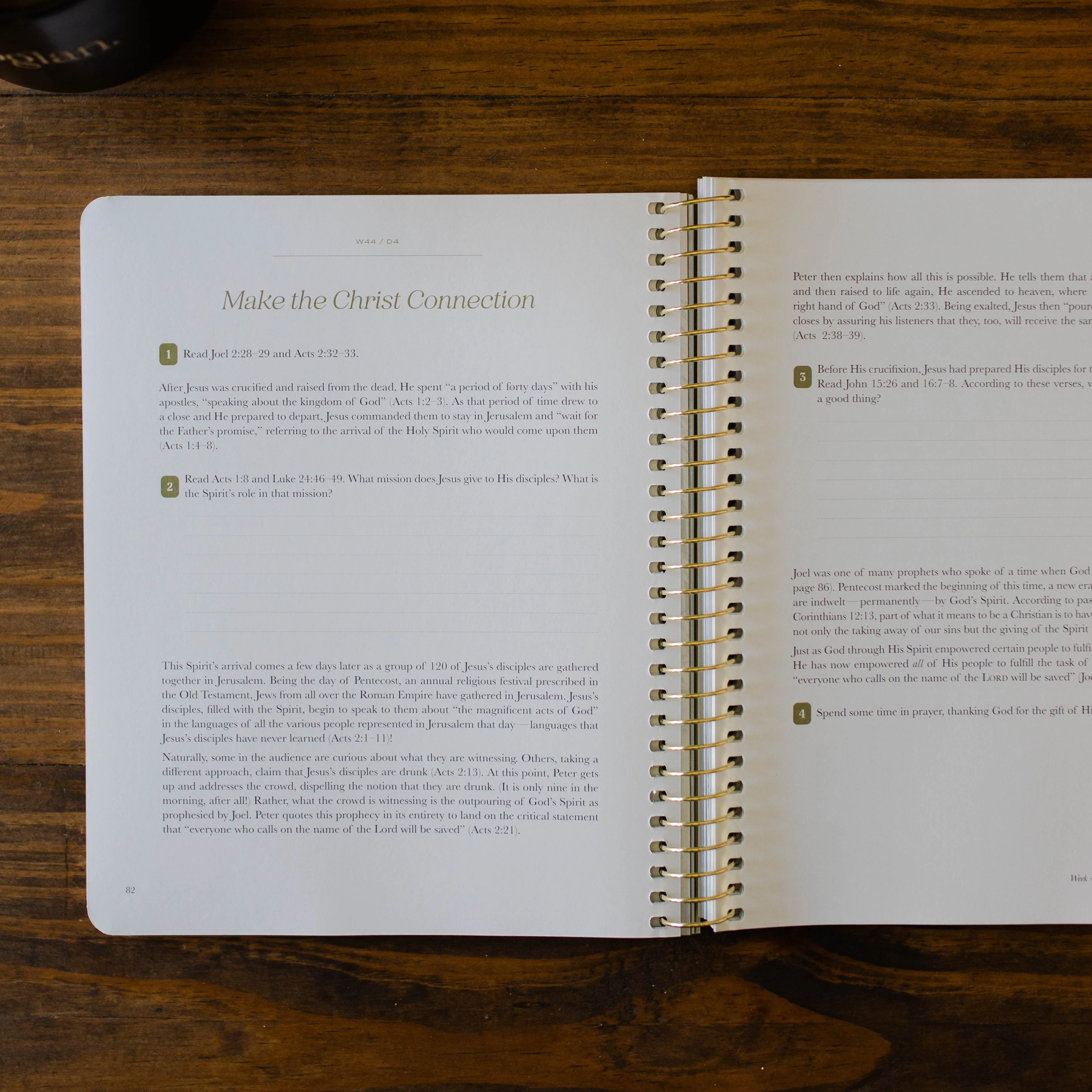 Christ in All of Scripture | Volume 4 - Men - Image 7