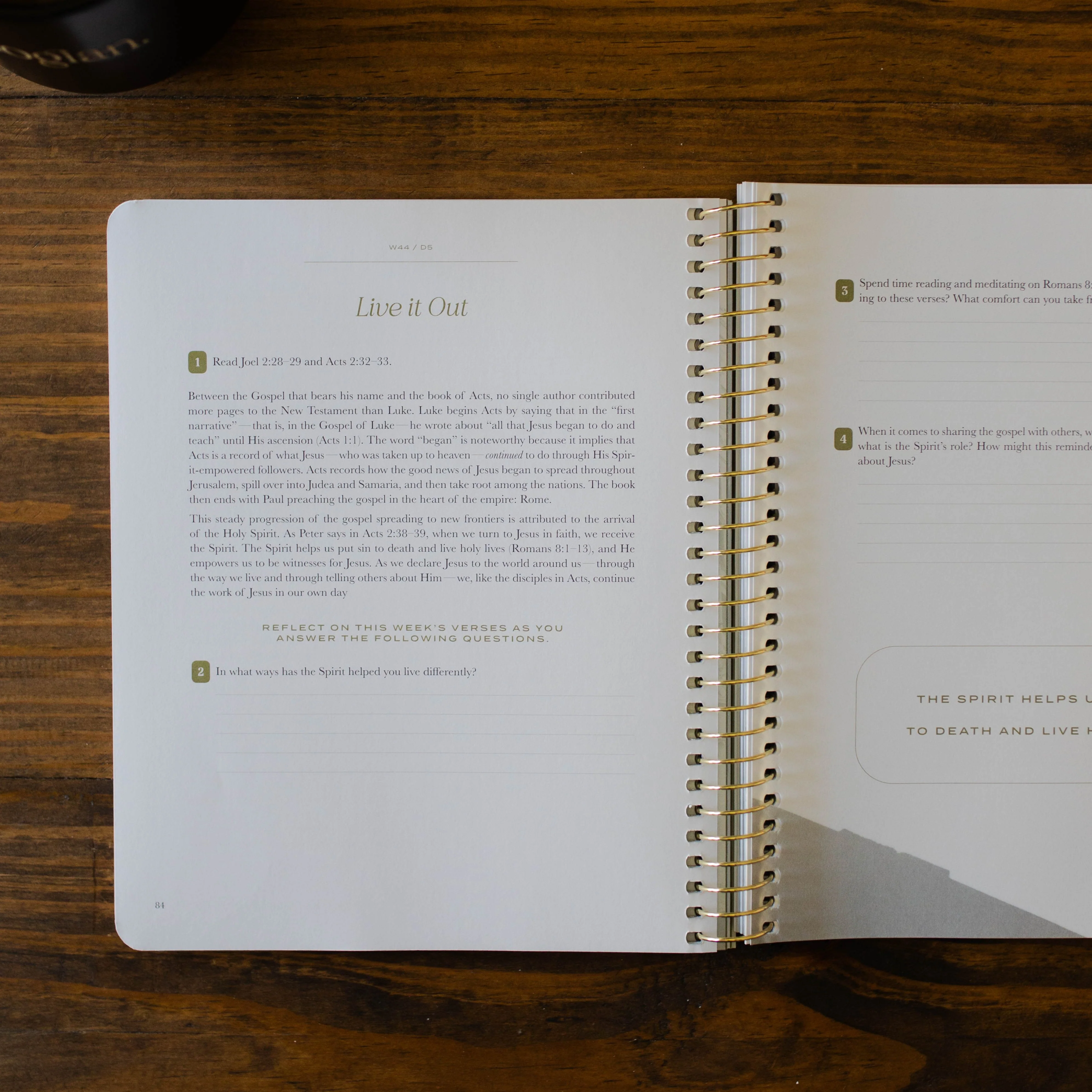 Christ in All of Scripture | Volume 4 - Men - Image 8