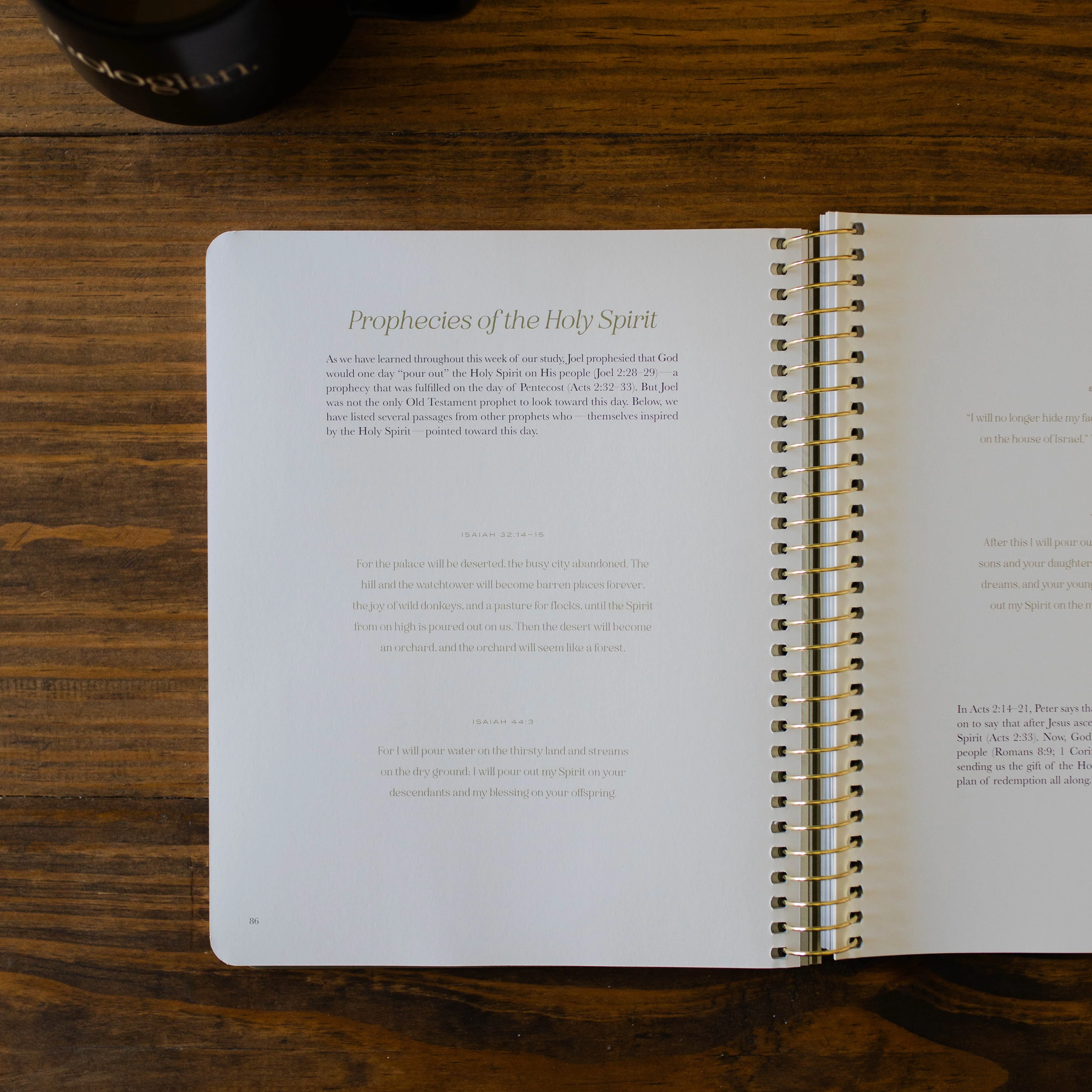 Christ in All of Scripture | Volume 4 - Men - Image 9