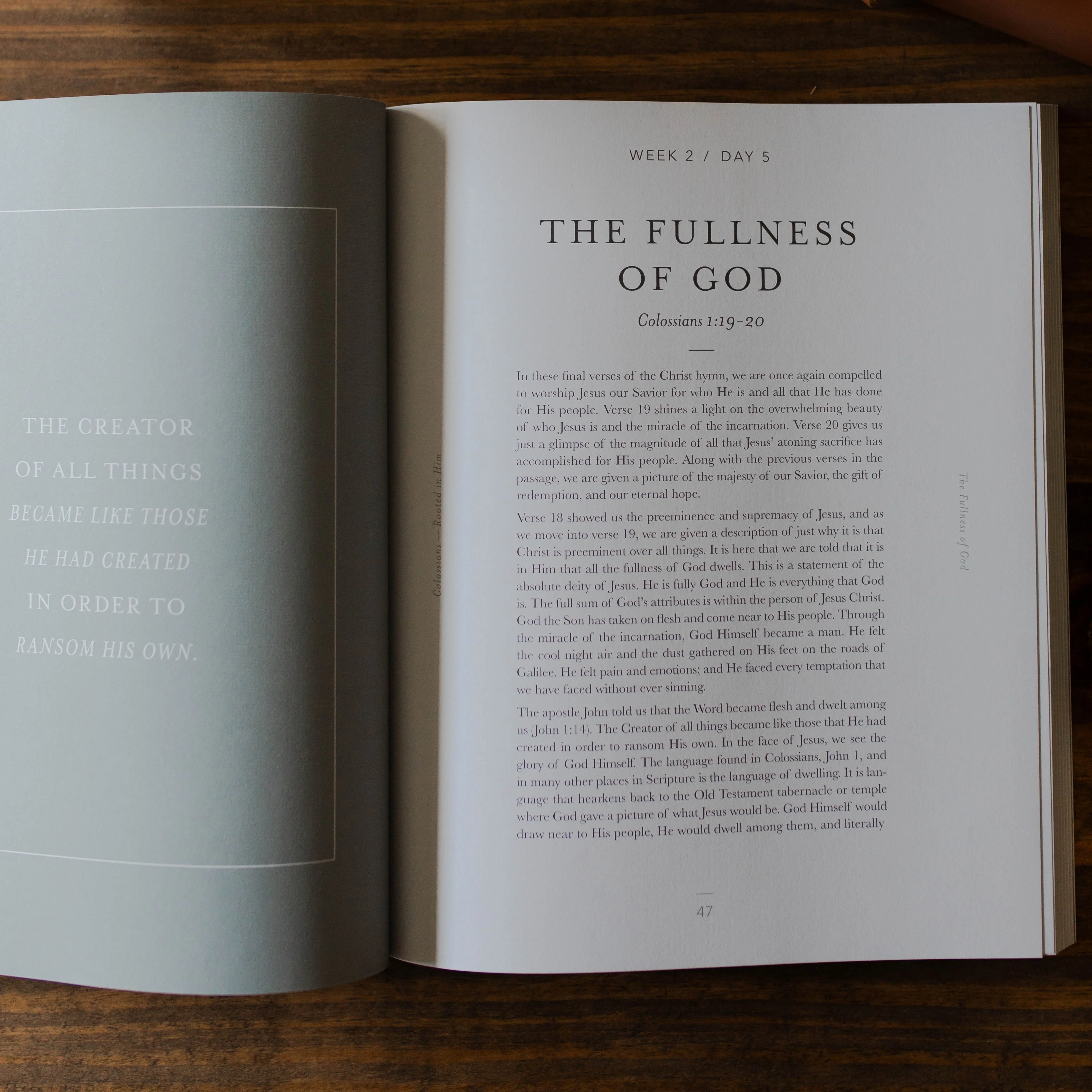 Colossians | Rooted in Him - Men - Image 4