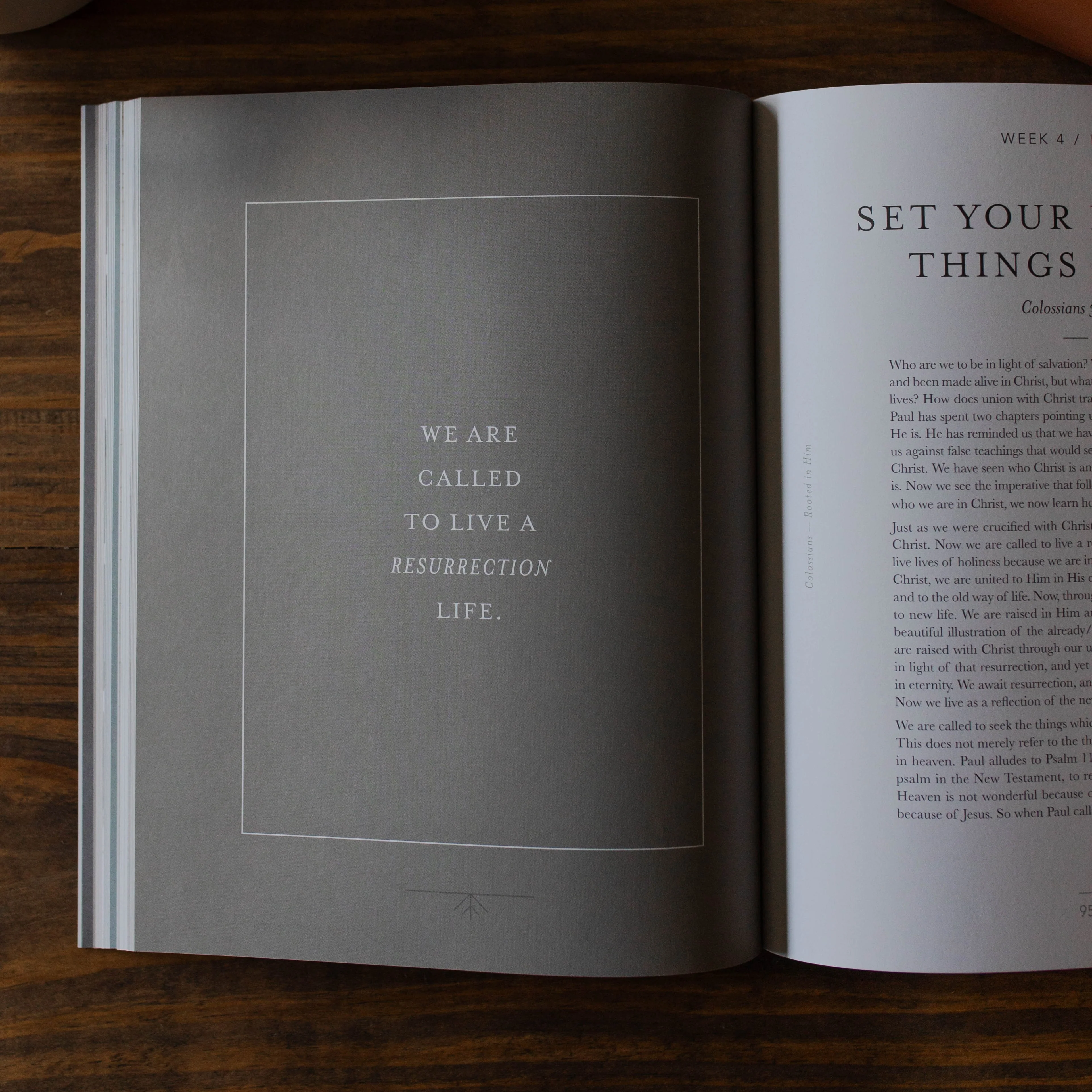 Colossians | Rooted in Him - Men - Image 7