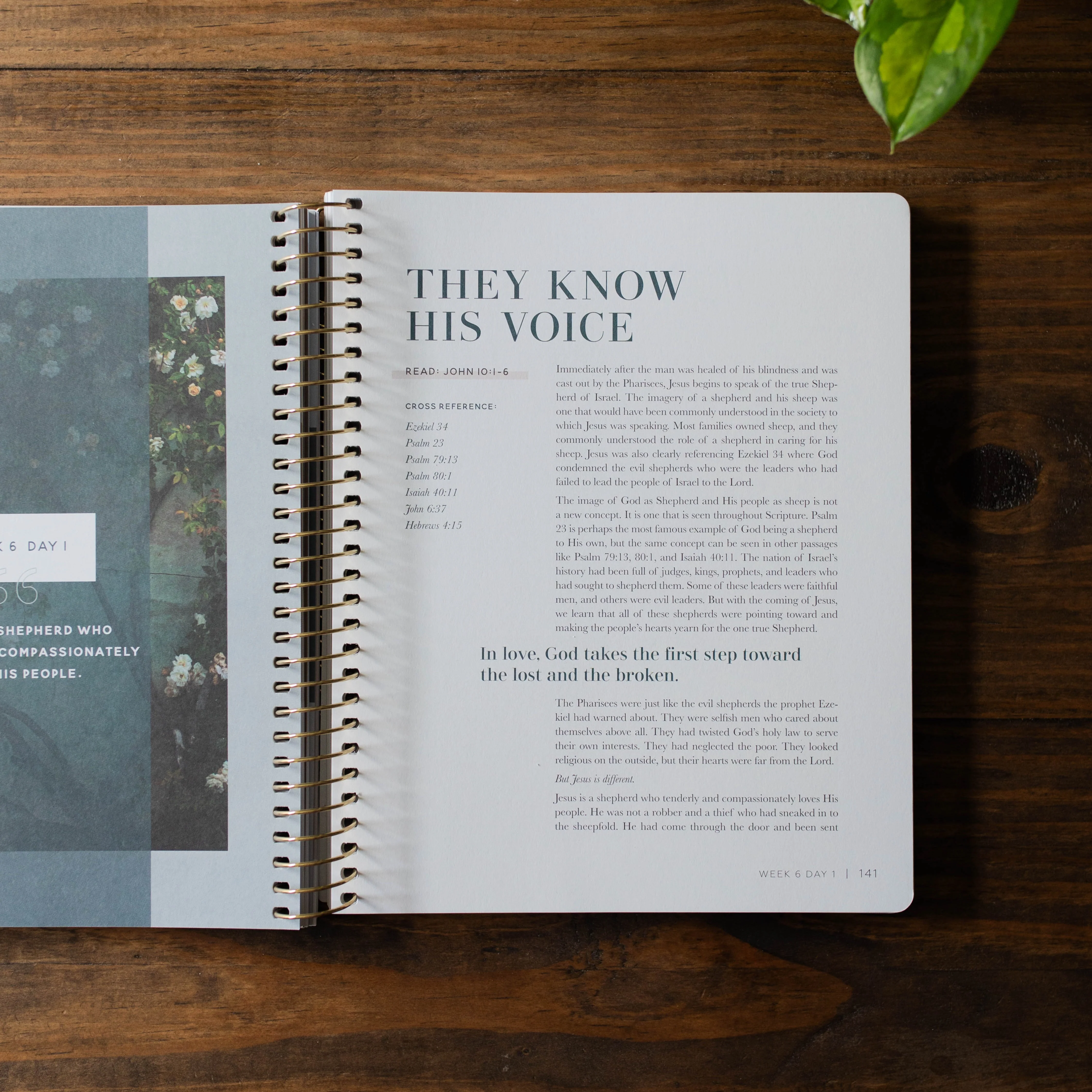 Come and See | Bible Study on John - Image 5
