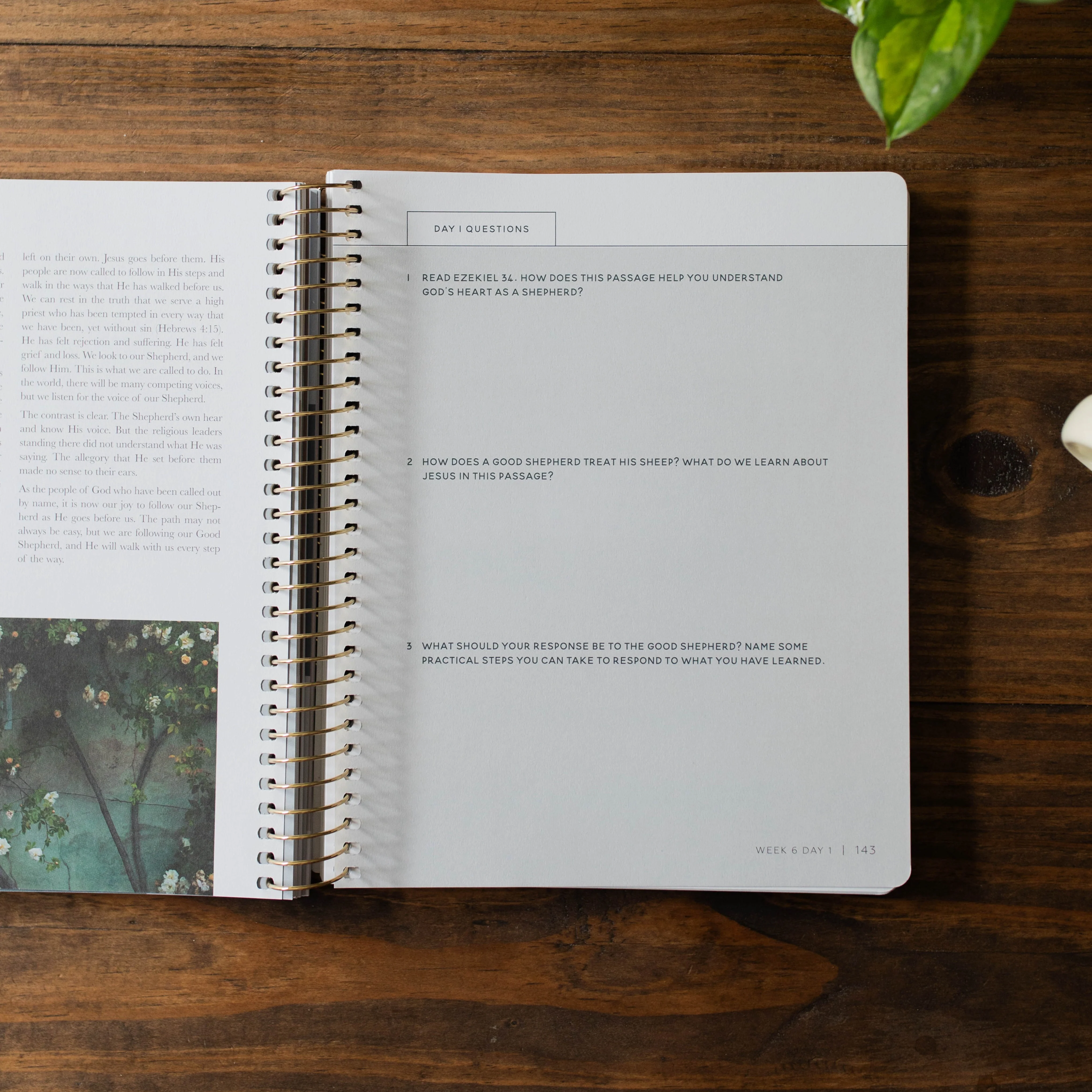 Come and See | Bible Study on John - Image 6