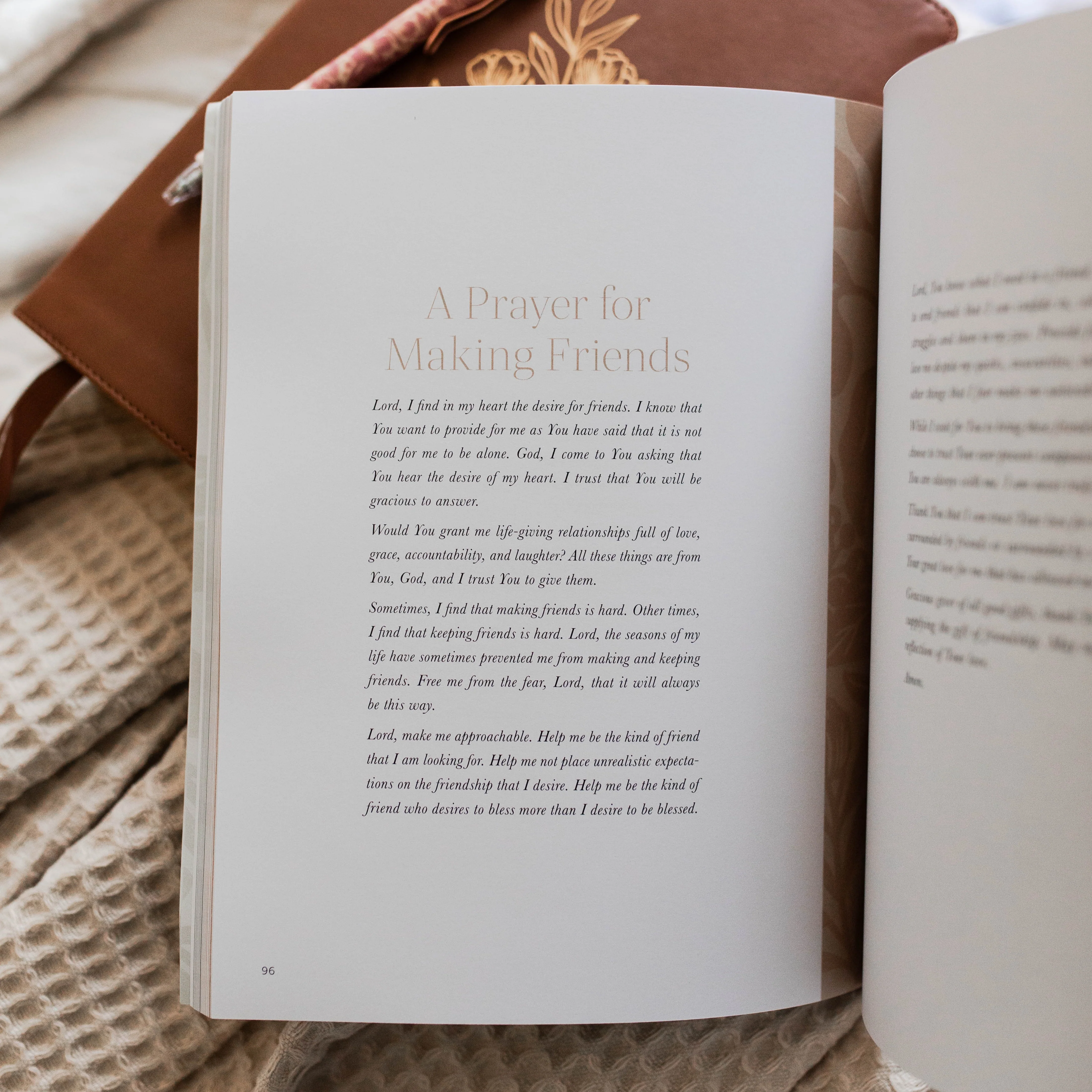 Craving Community | A Bible Study on Friendship - Image 5
