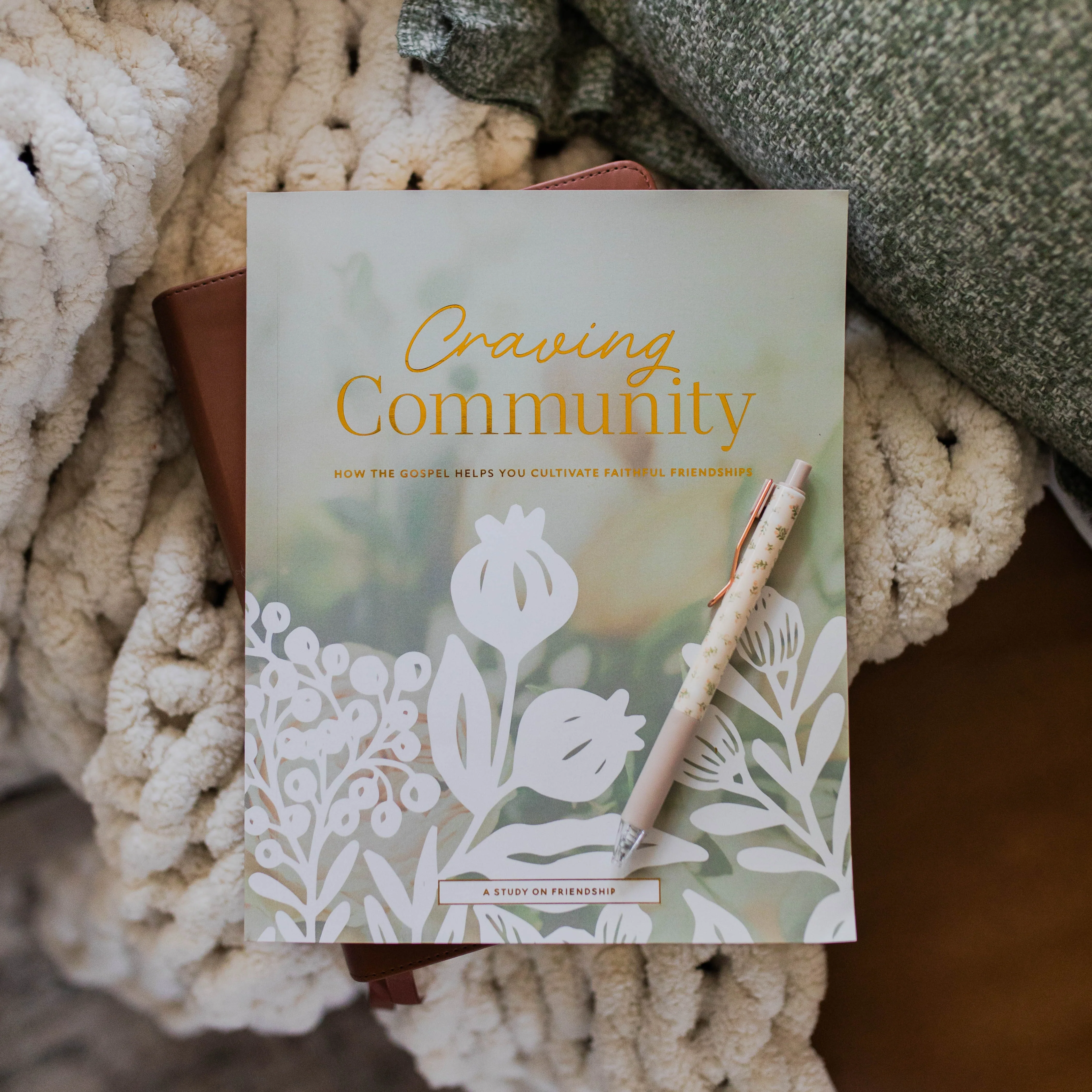 Craving Community | A Bible Study on Friendship - Image 6