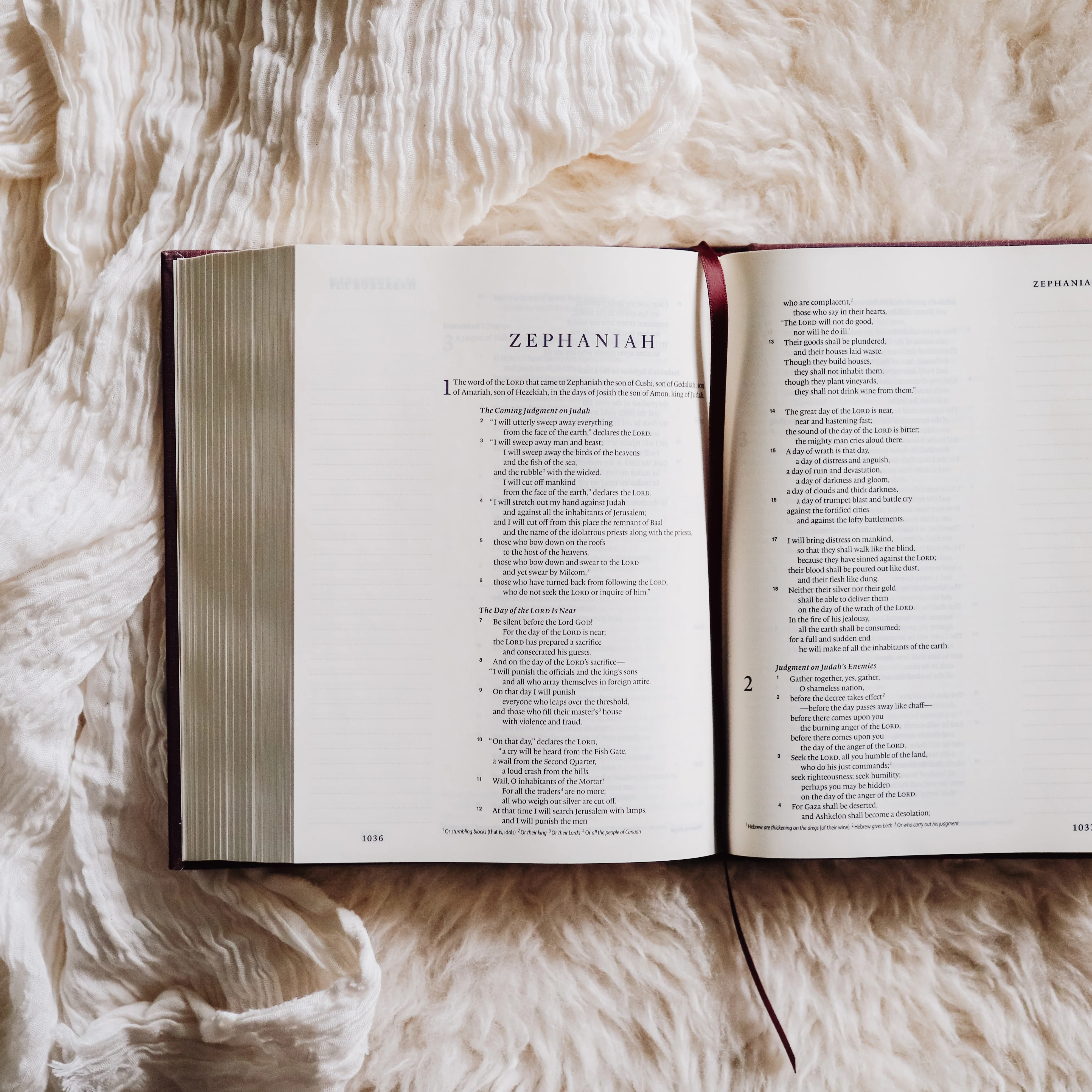 ESV Single Column Journaling Bible - Daily Grace Co.® - Image 3