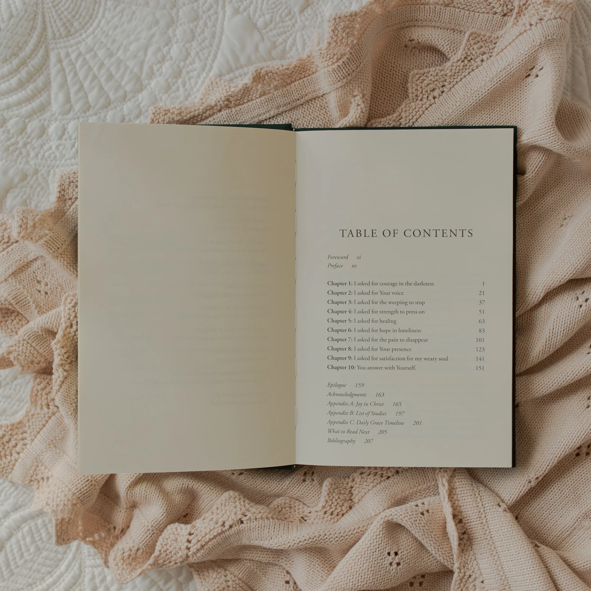 Daily Grace | How Jesus Answers Our Heartache with Himself - Image 4