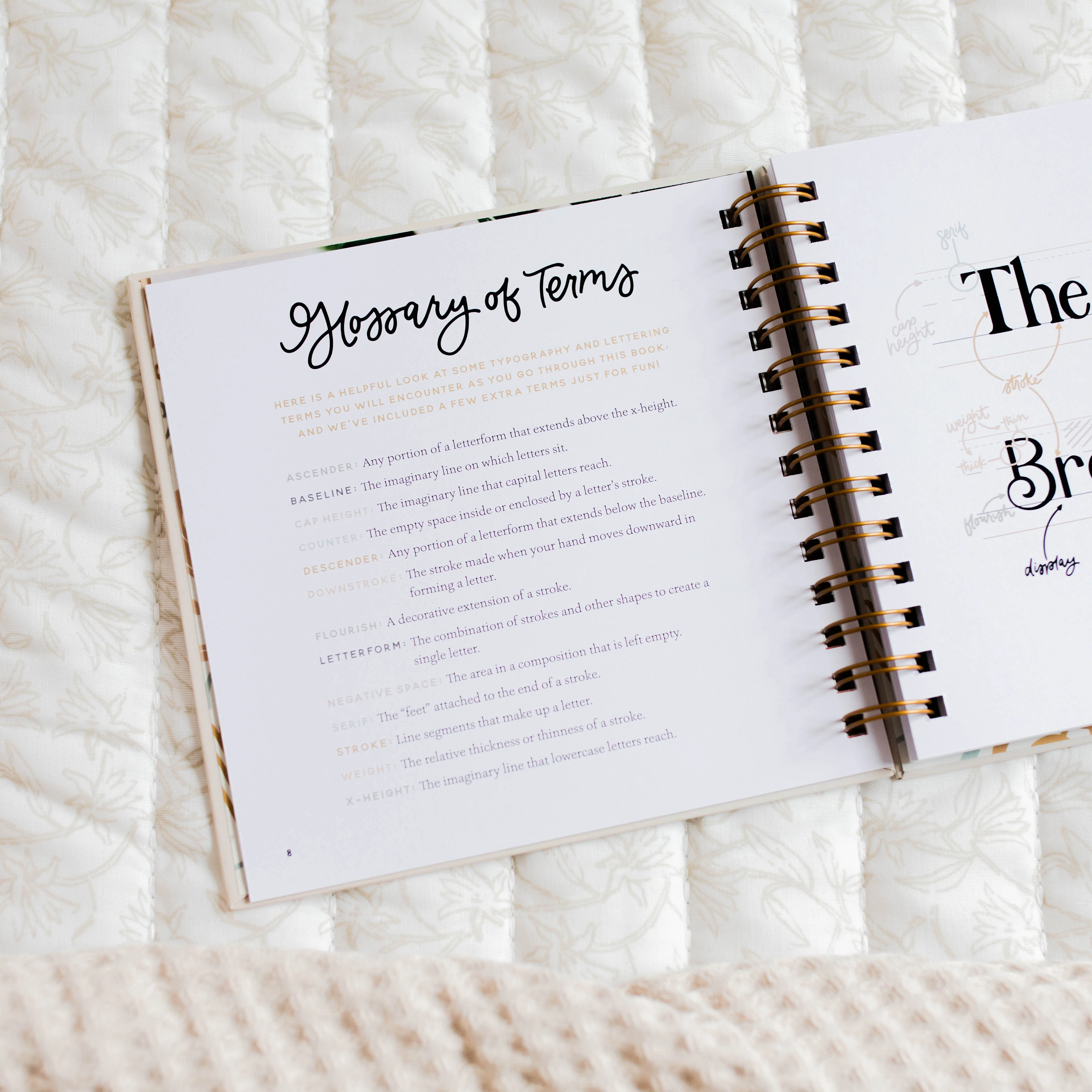 Scripture Lettering Workbook - Image 4