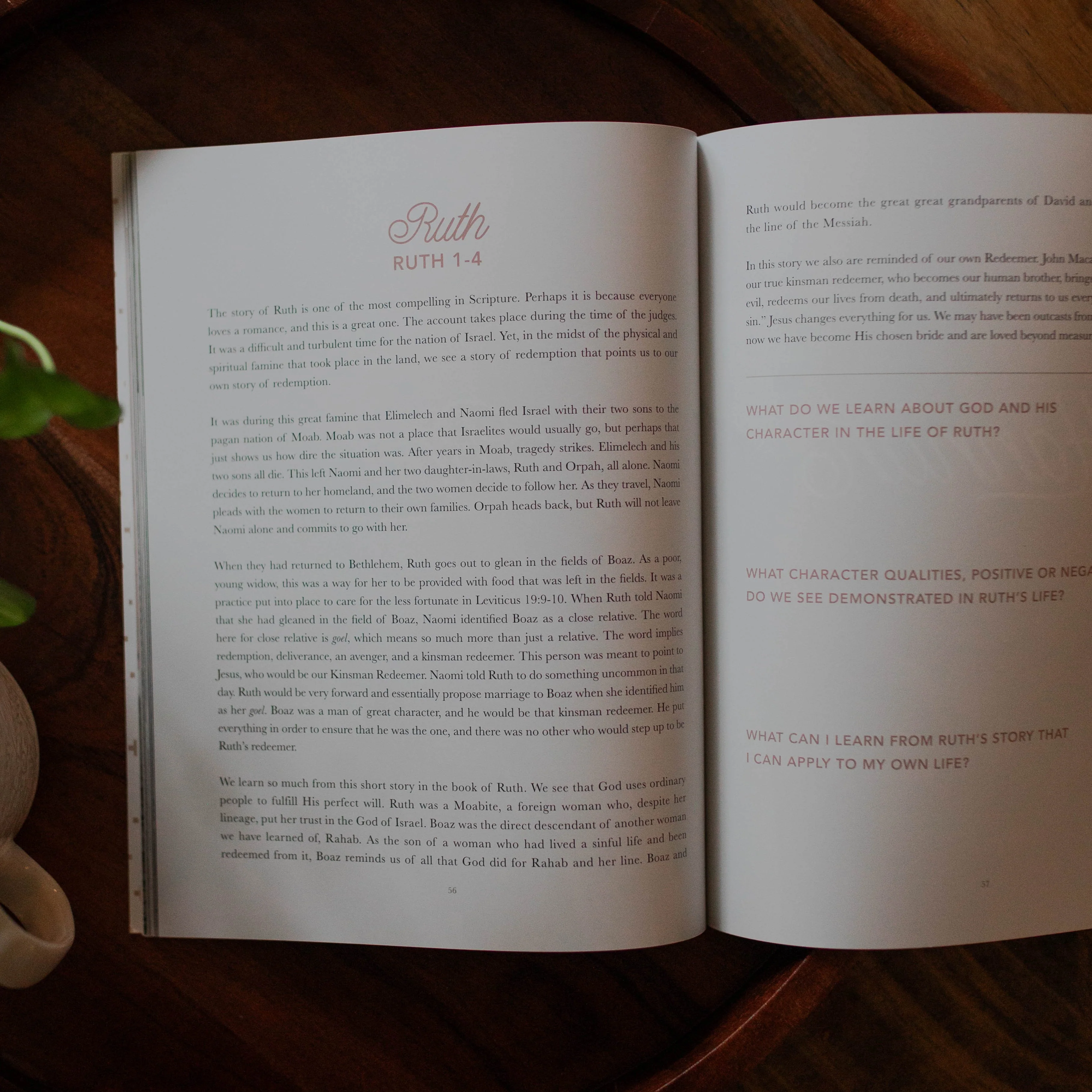 Daughters of Grace | Women of the Bible Study - Image 3