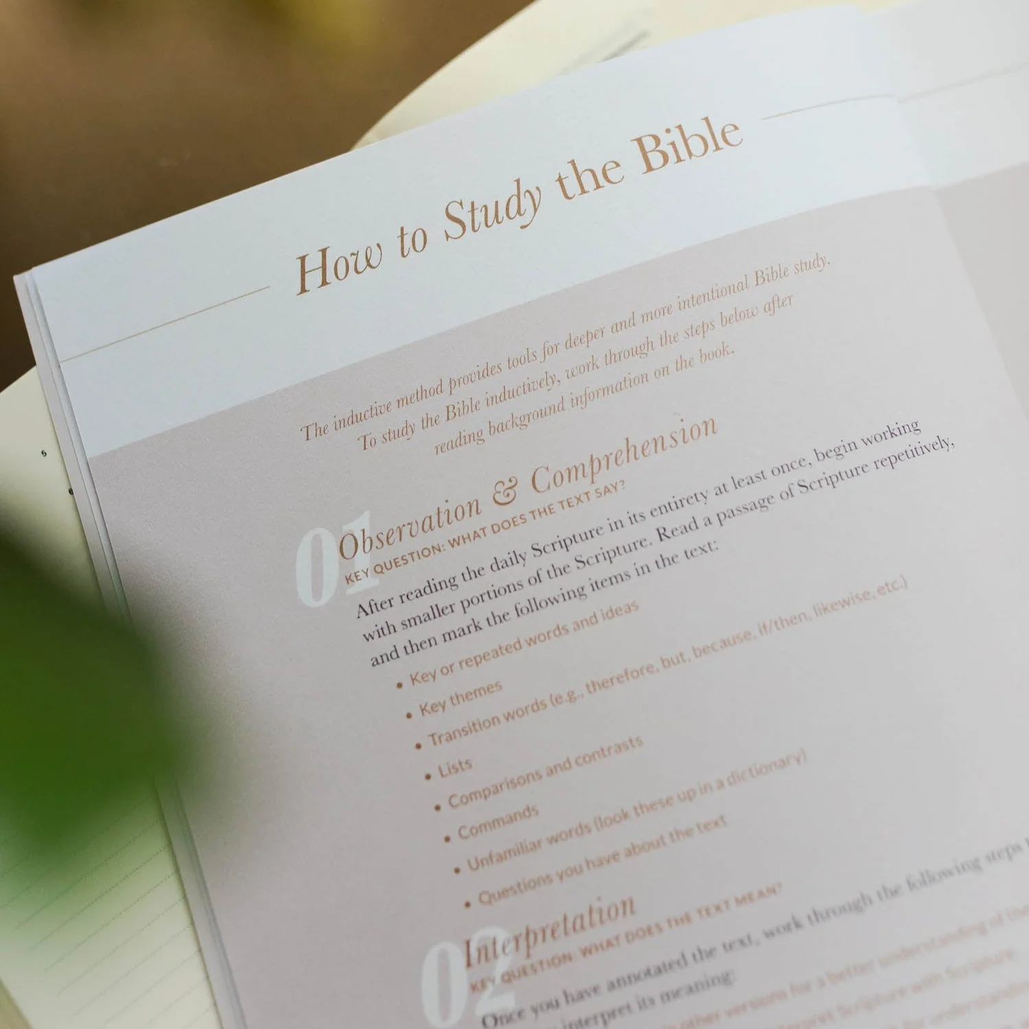 Delight | Psalms 1-30 Bible Study - Image 4
