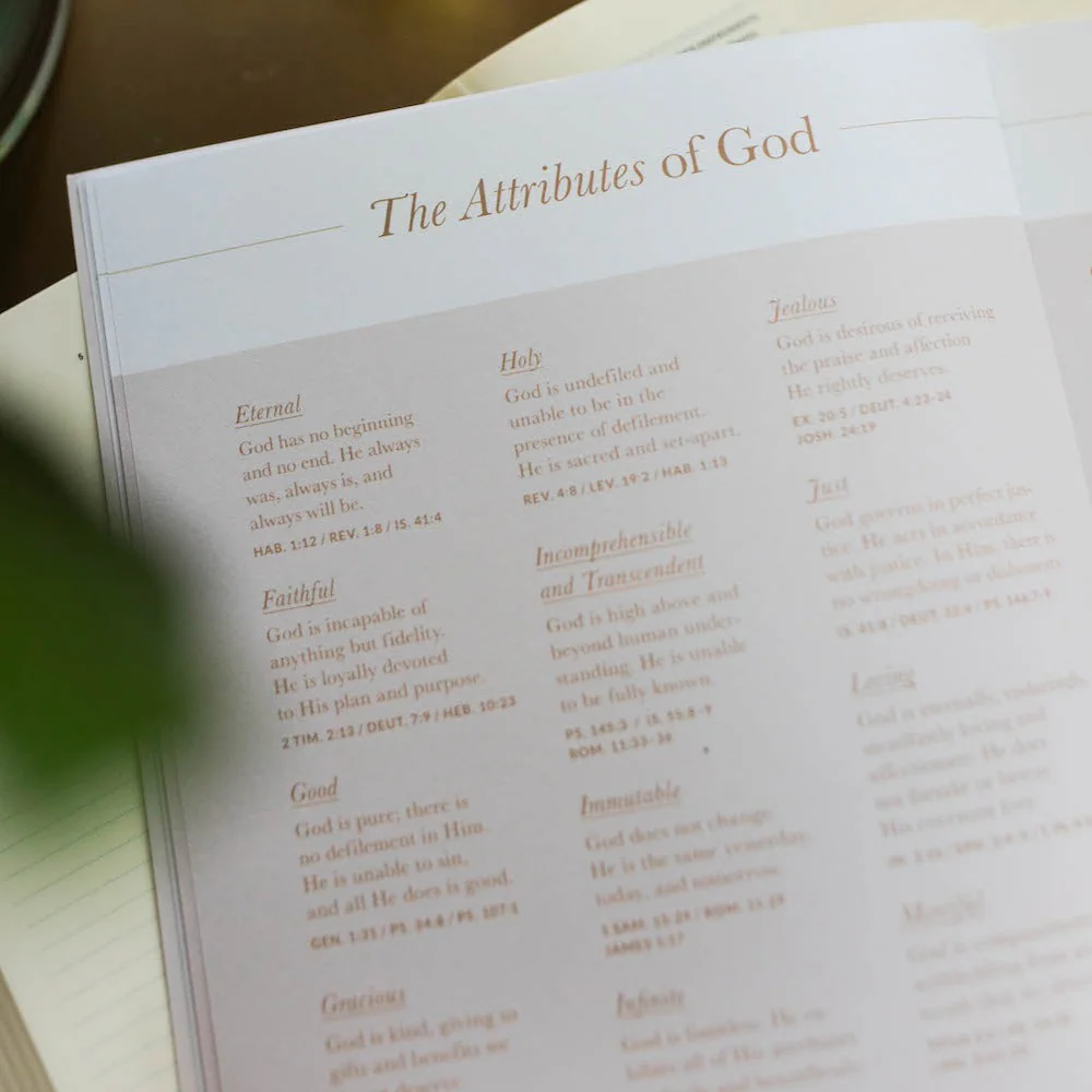 Delight | Psalms 1-30 Bible Study - Image 5