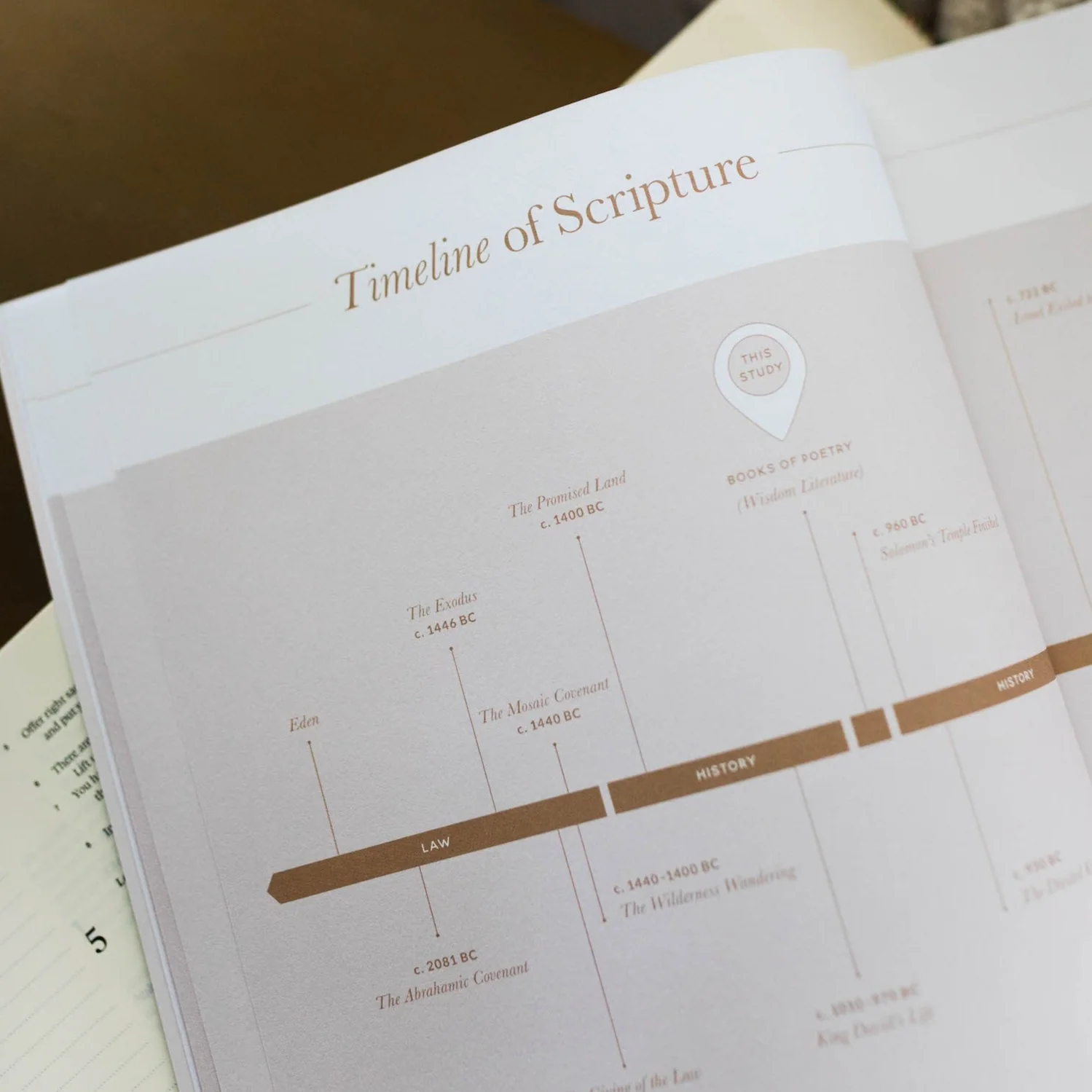 Delight | Psalms 1-30 Bible Study - Image 6