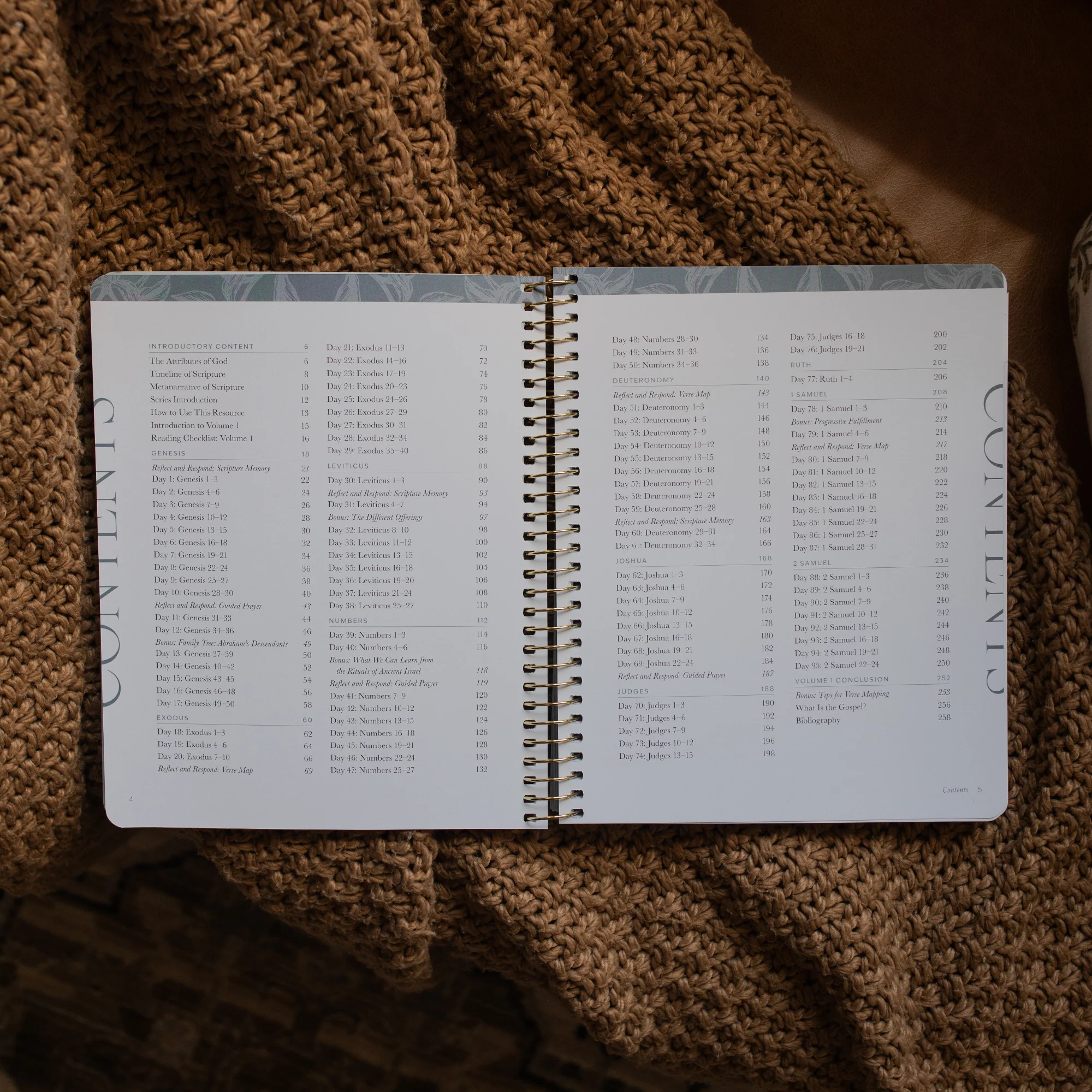 A Year in the Bible | Volume 1 - Image 2