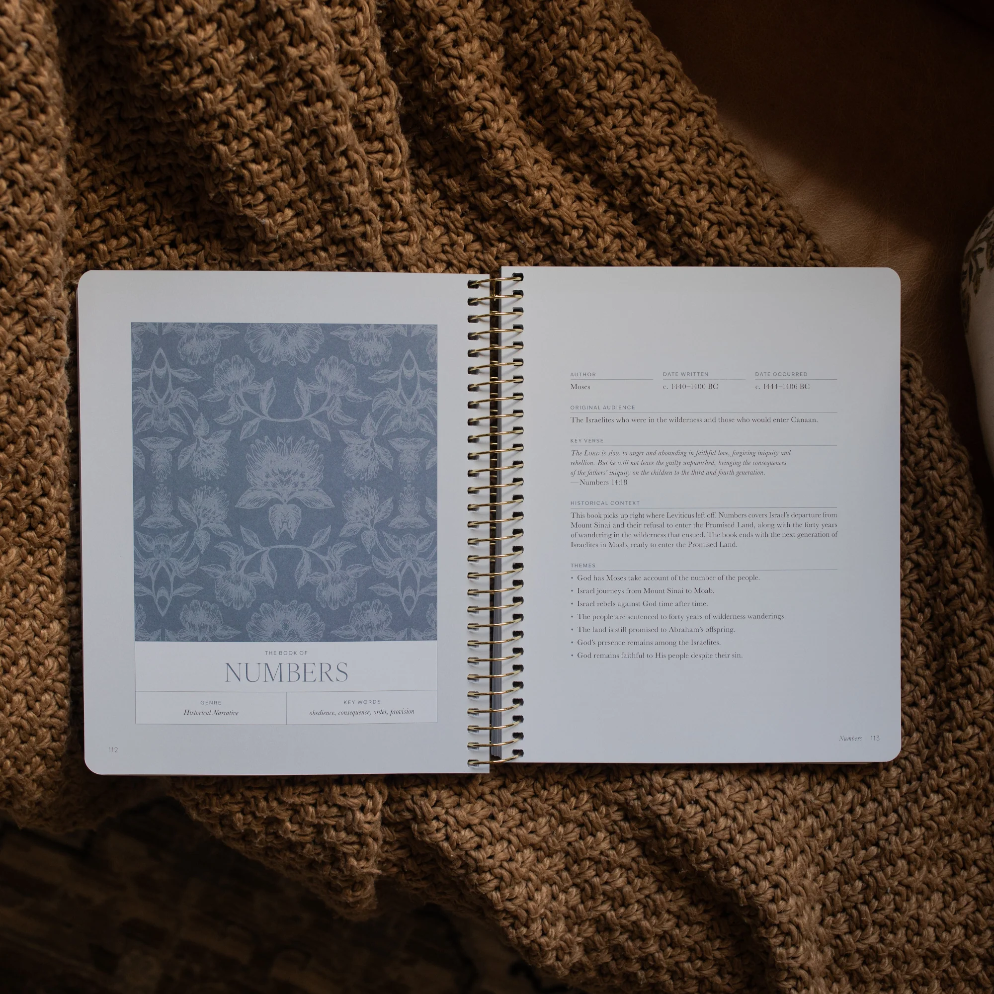 A Year in the Bible | Volume 1 - Image 3