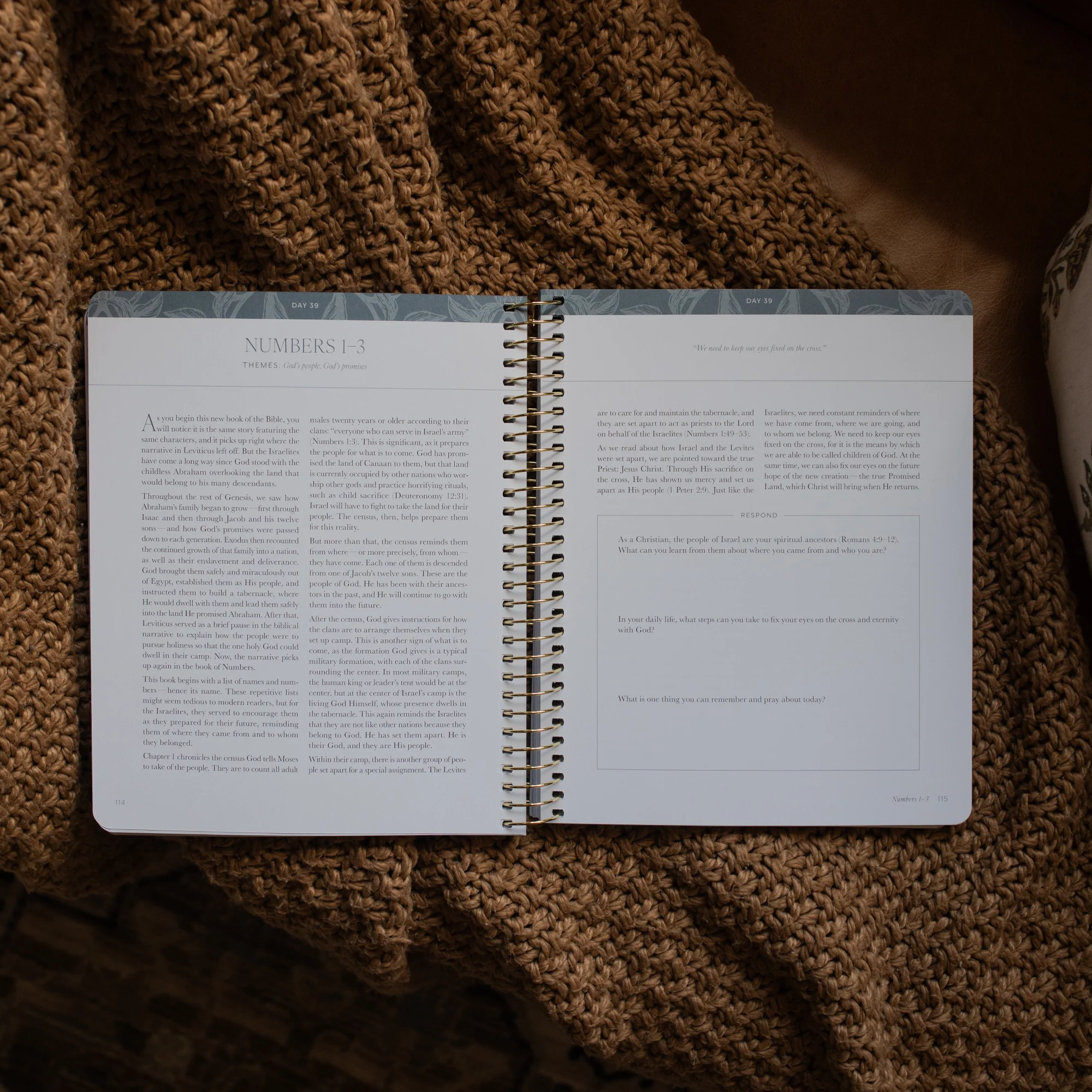 A Year in the Bible | Volume 1 - Image 4