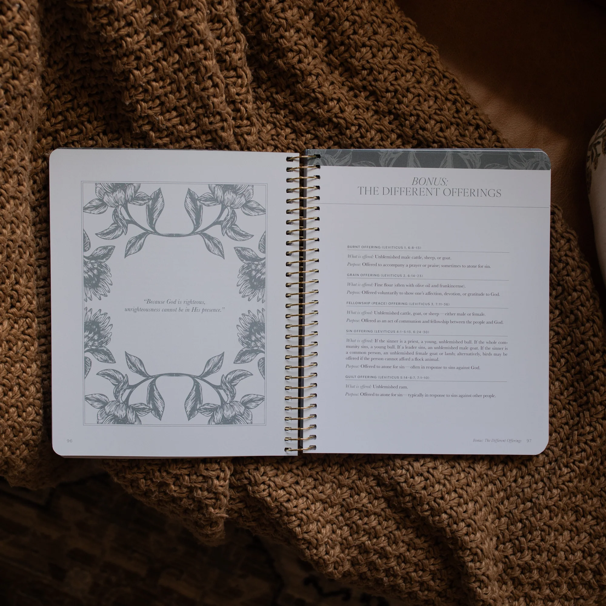 A Year in the Bible | Volume 1 - Image 6