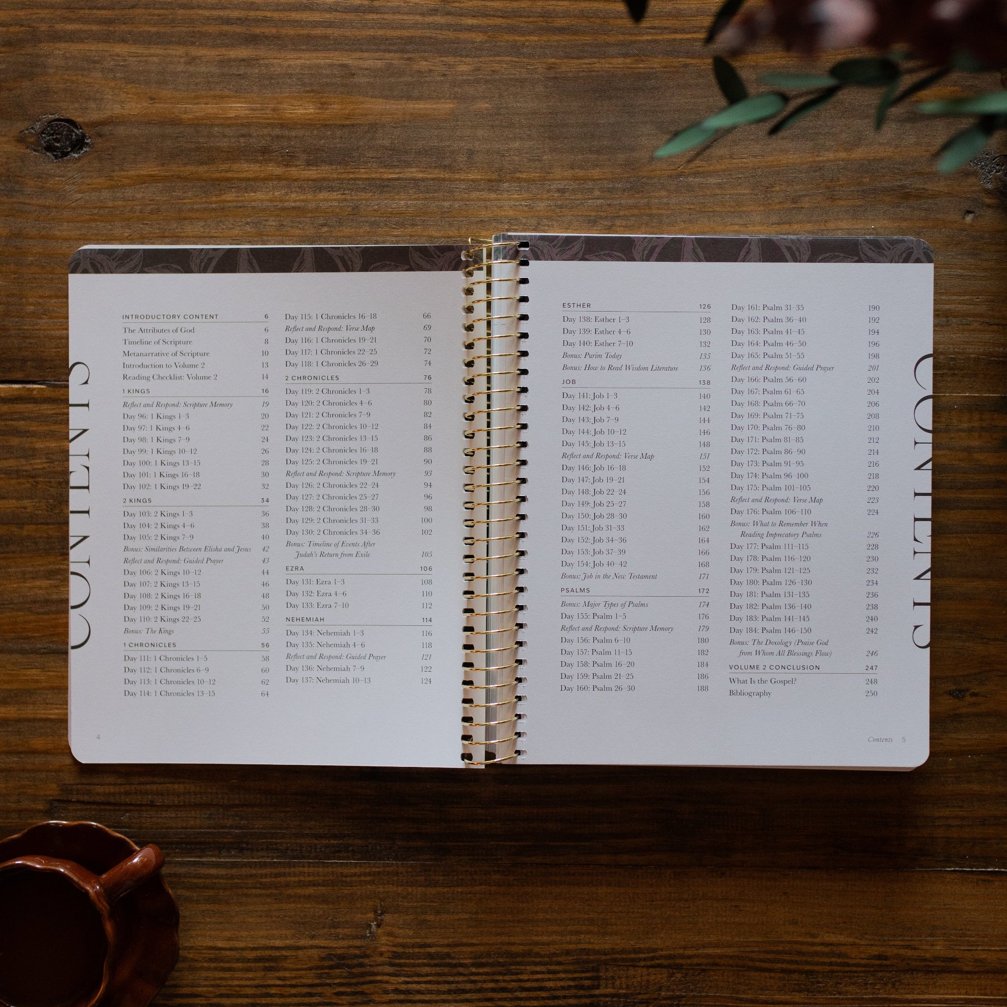 A Year in the Bible | Volume 2 - Image 2