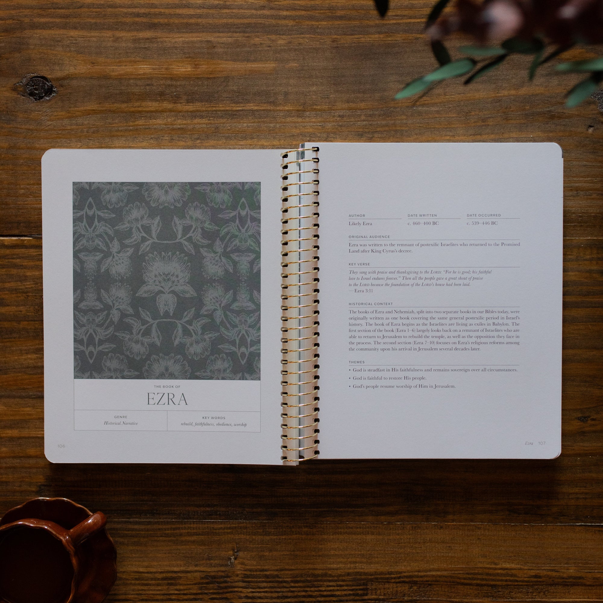 A Year in the Bible | Volume 2 - Image 4