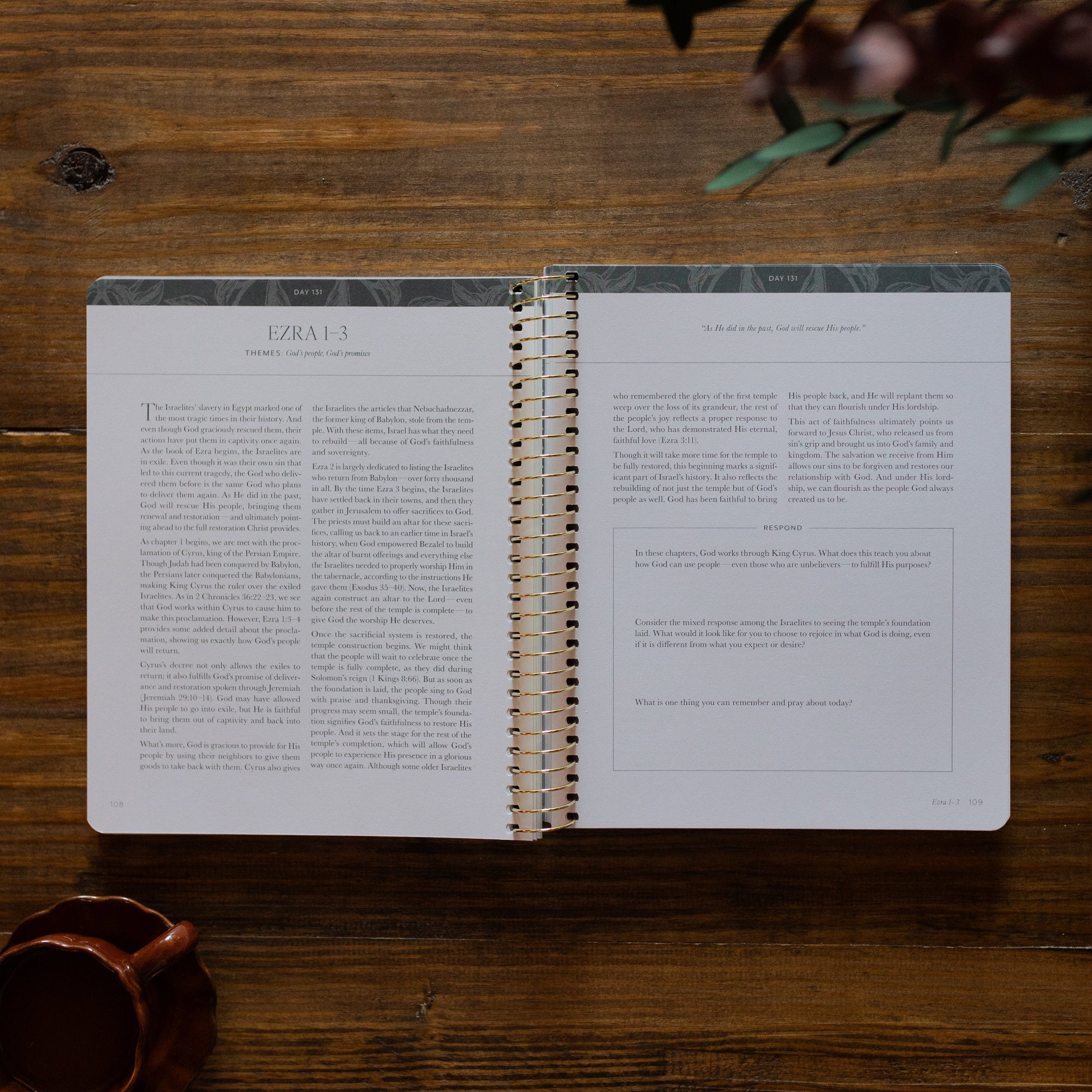 A Year in the Bible | Volume 2 - Image 5