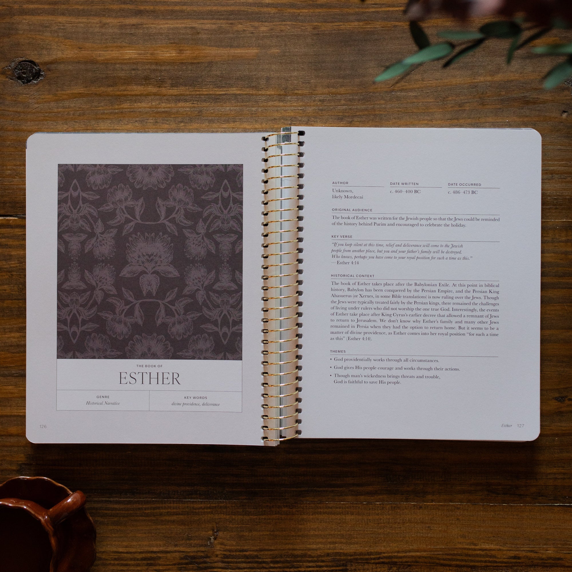 A Year in the Bible | Volume 2 - Image 7
