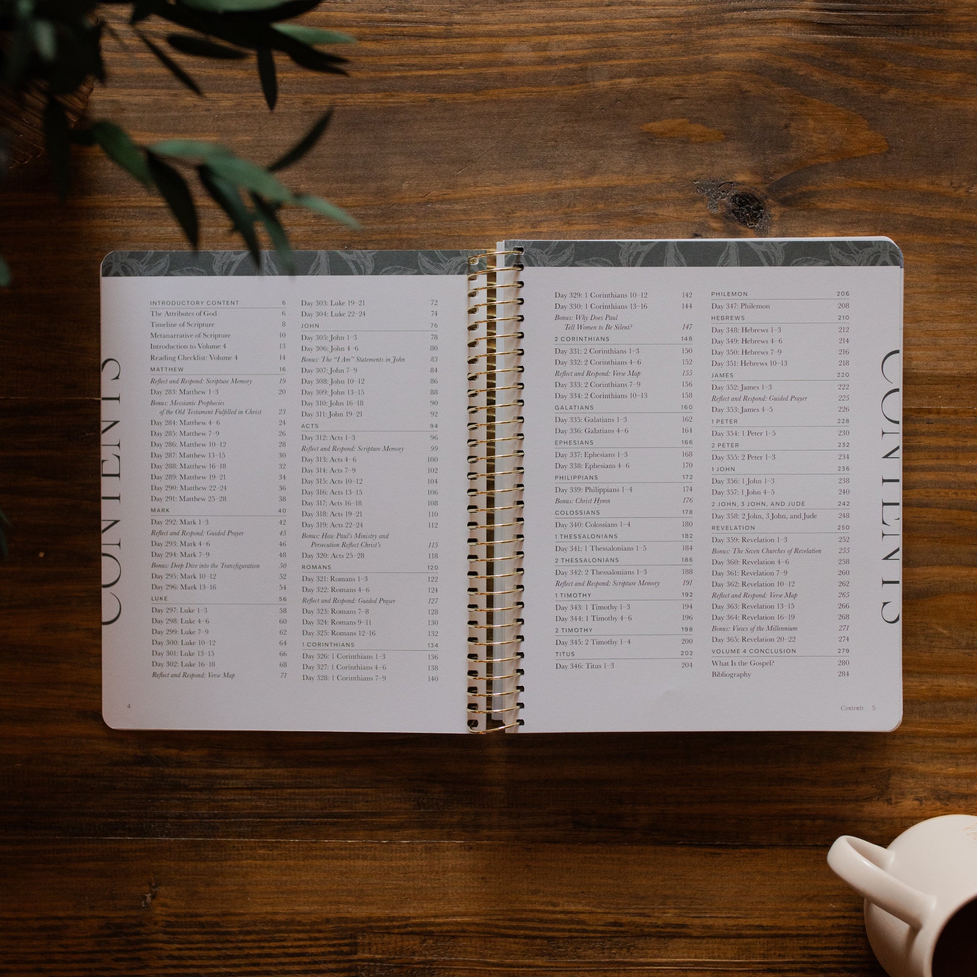 A Year in the Bible | Volume 4 - Image 2