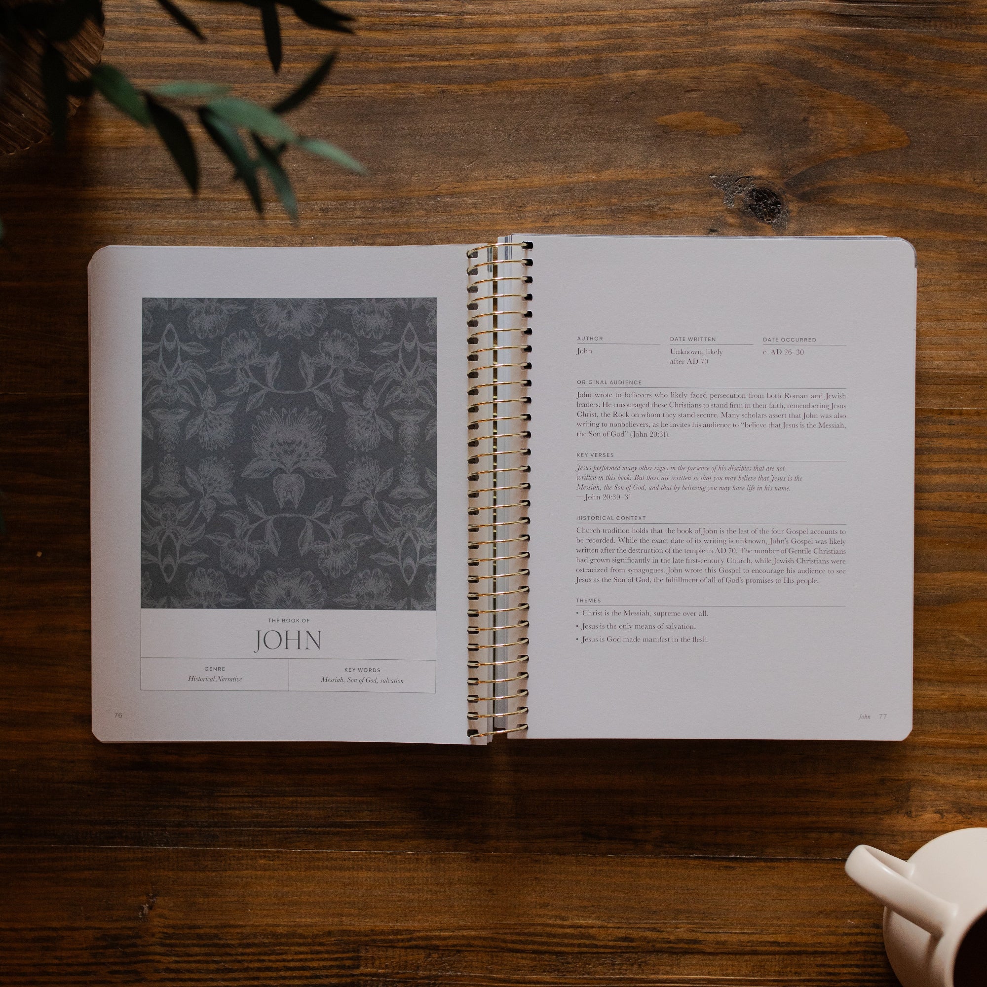 A Year in the Bible | Volume 4 - Image 3