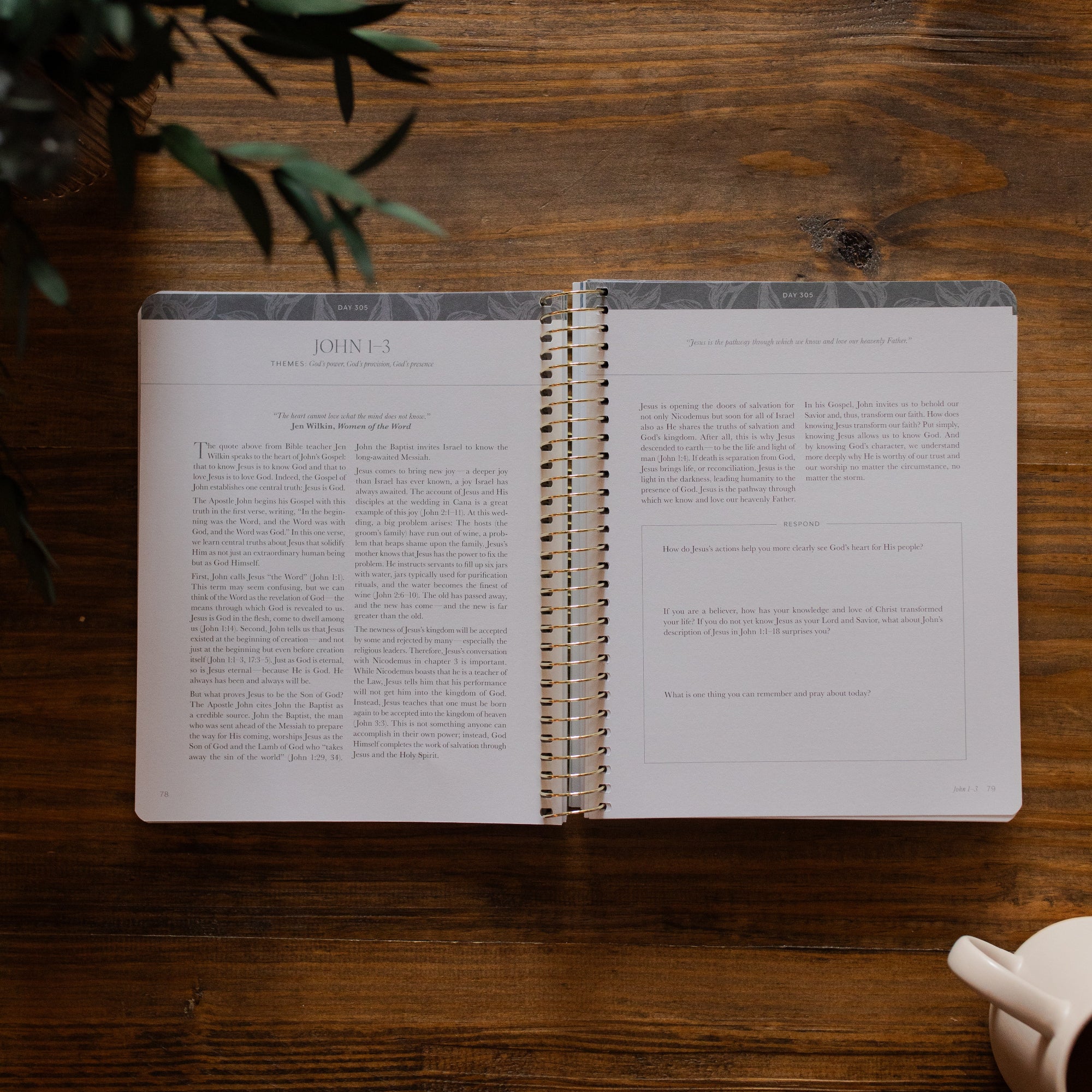 A Year in the Bible | Volume 4 - Image 4