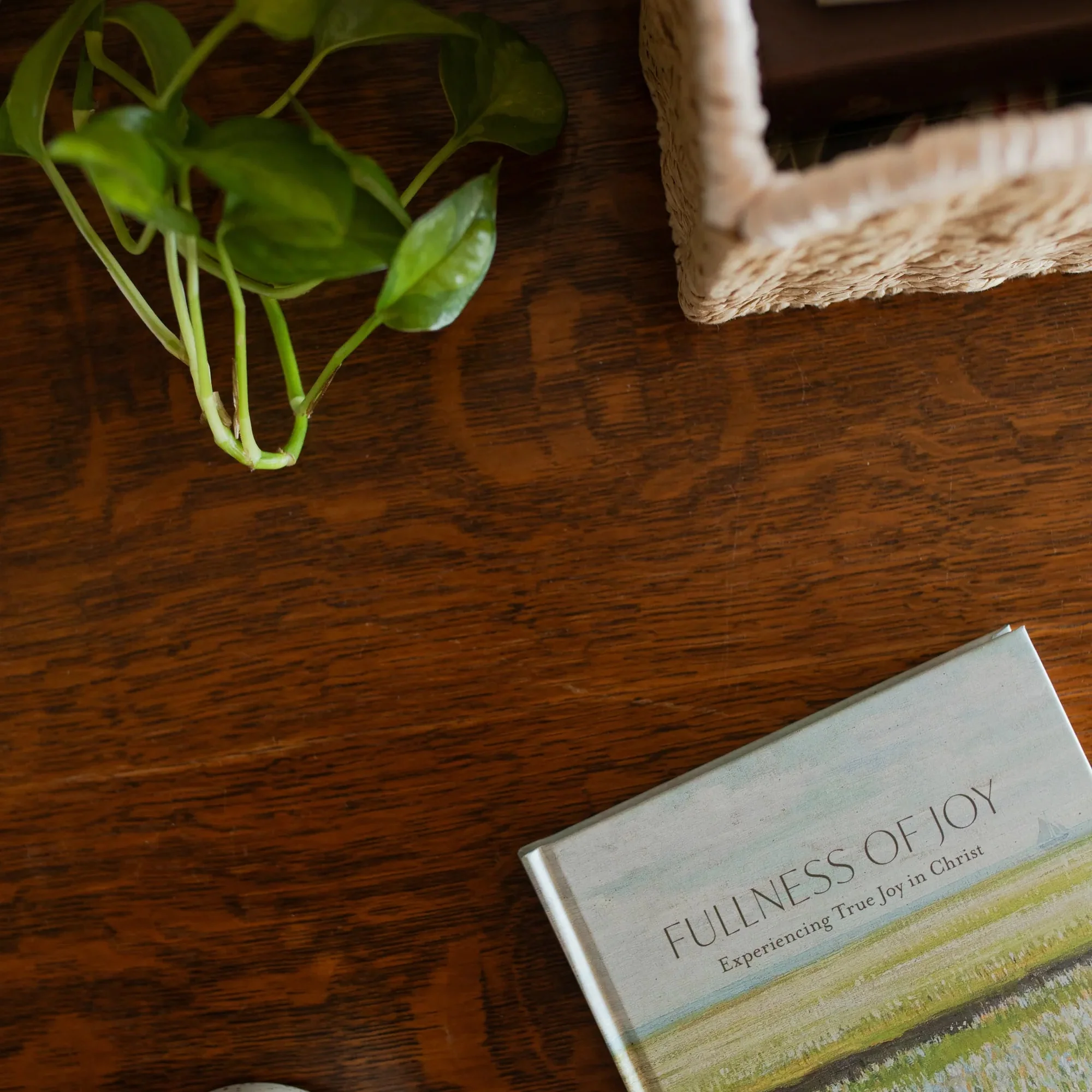 Early Access - Fullness of Joy - Image 13