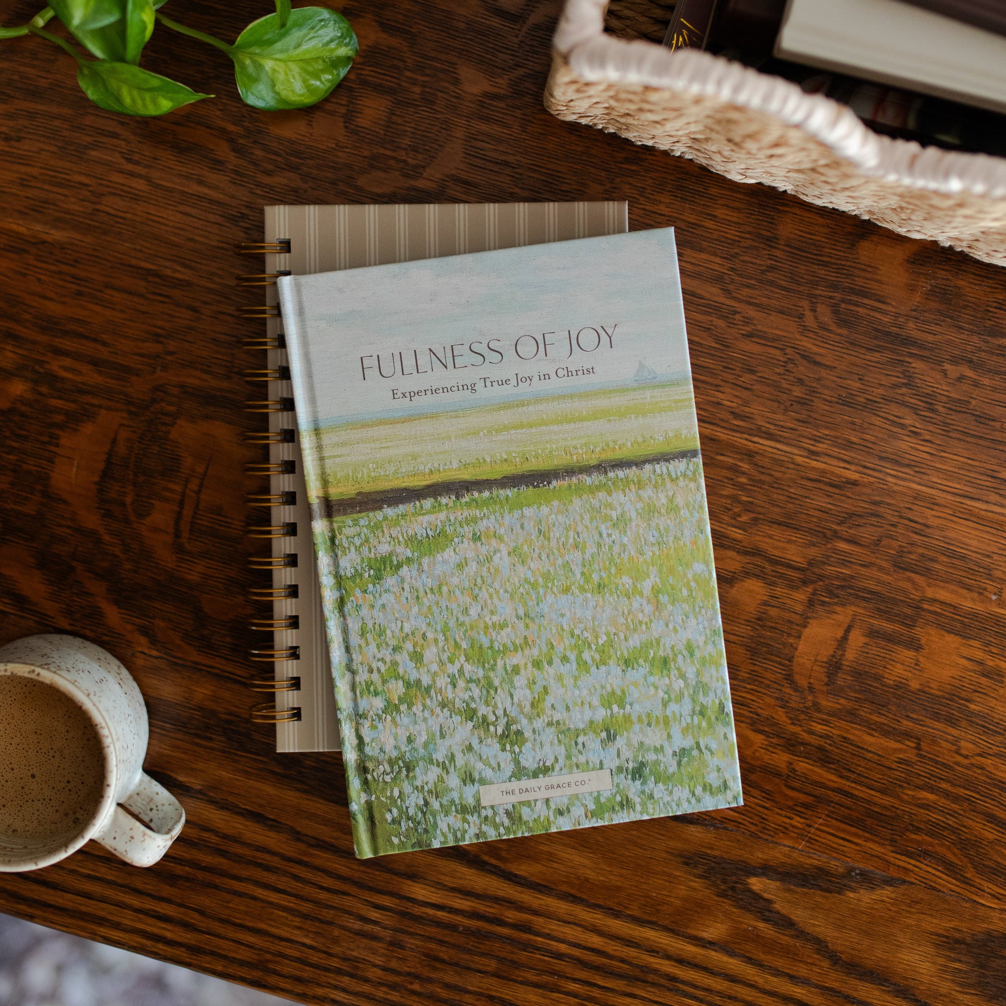 Early Access - Fullness of Joy - Image 7