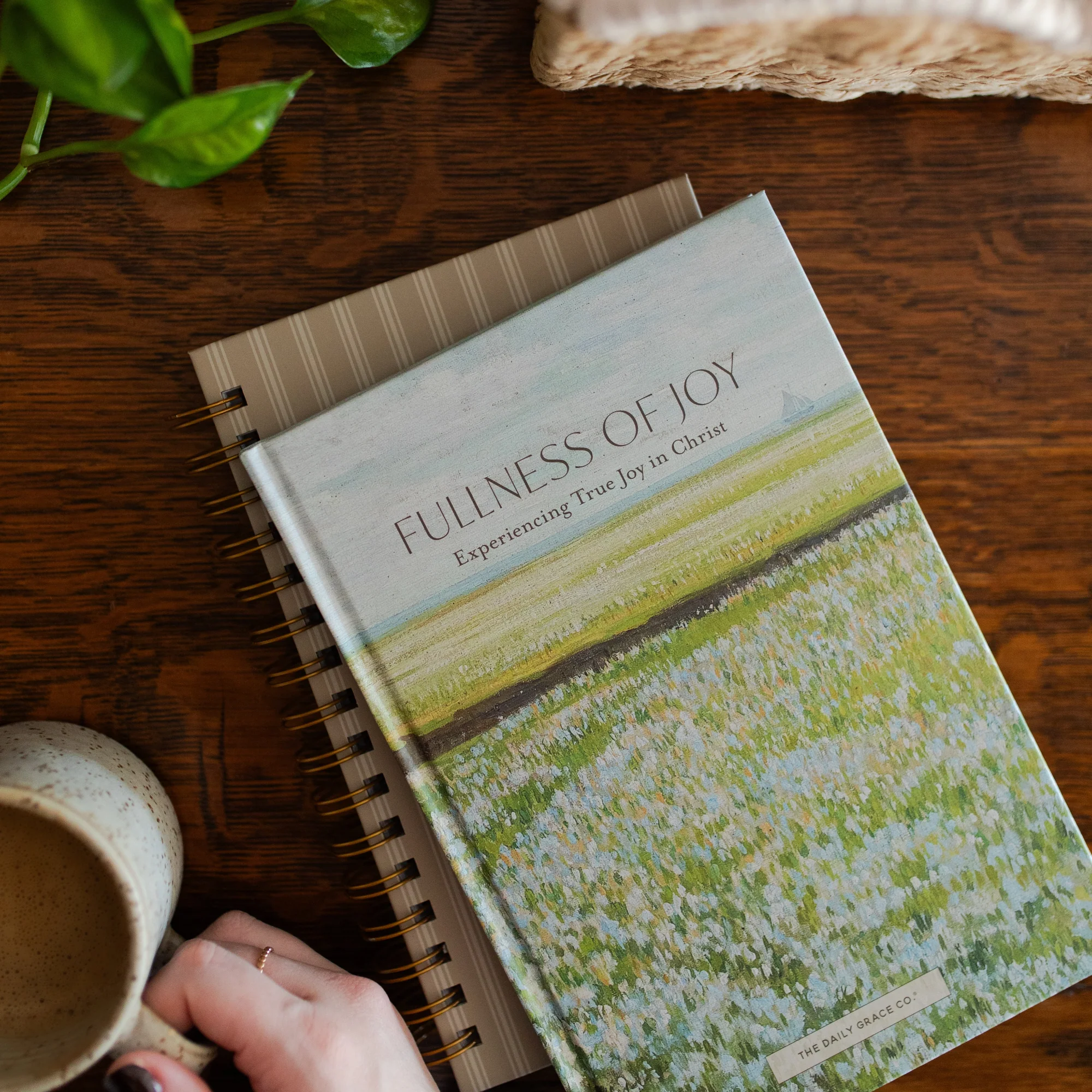 Early Access - Fullness of Joy - Image 8