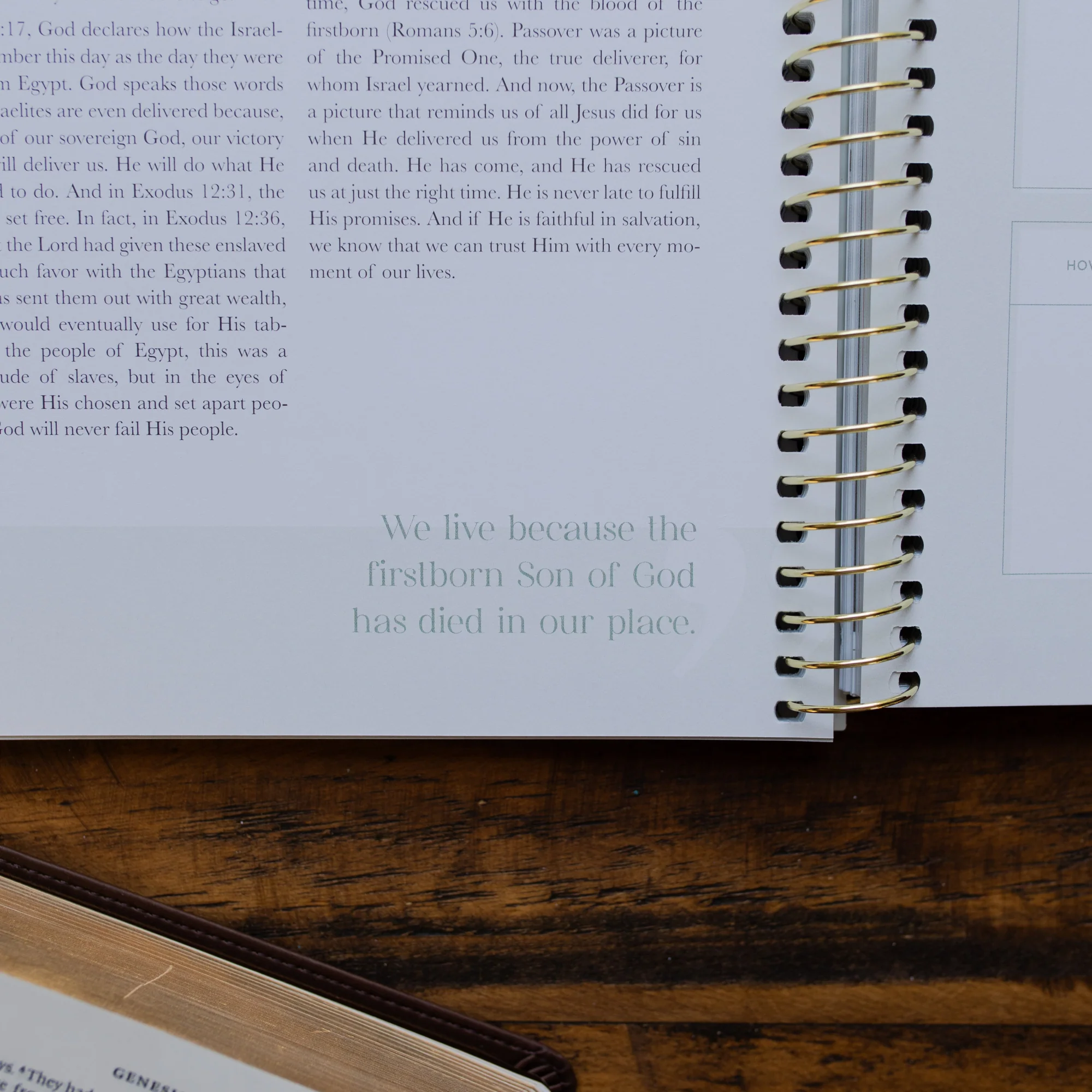 Eden to Eternity | Chronological Bible Study | Volume 1 - Image 3
