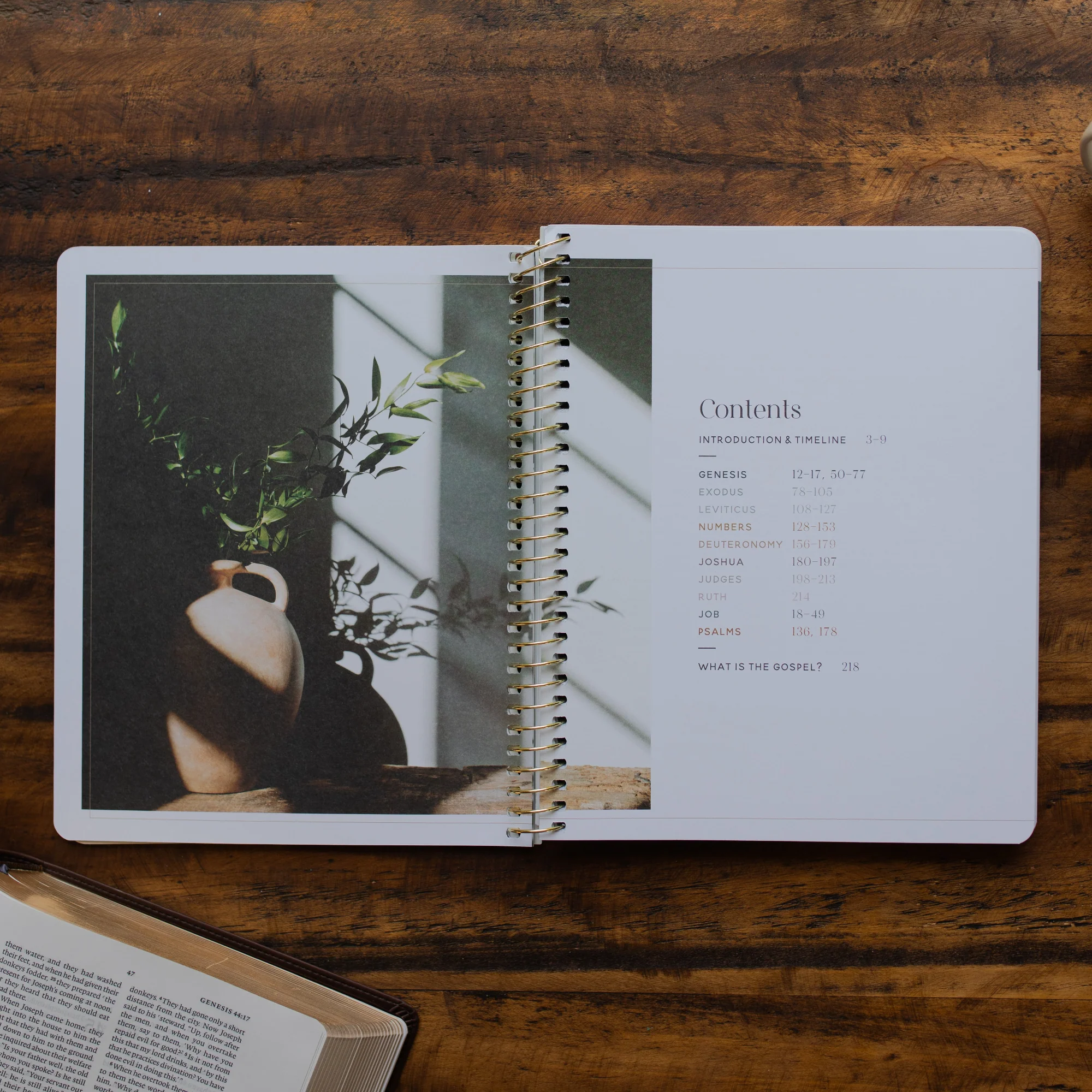 Eden to Eternity | Chronological Bible Study | Volume 1 - Image 4