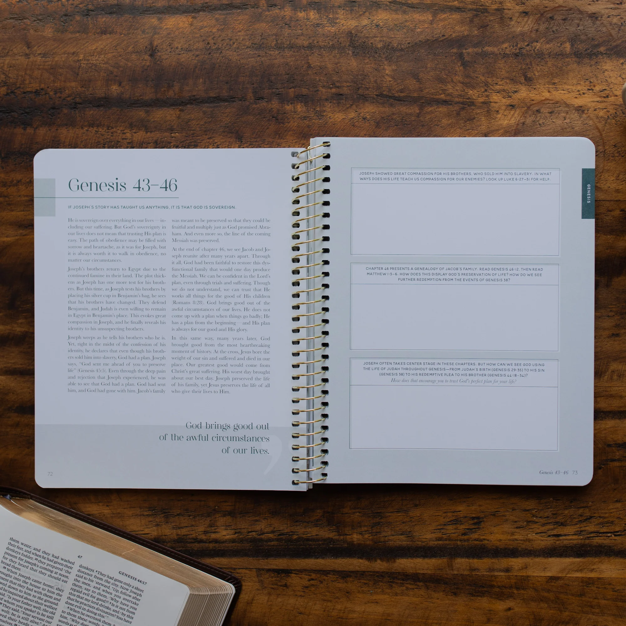 Eden to Eternity | Chronological Bible Study | Volume 1 - Image 5