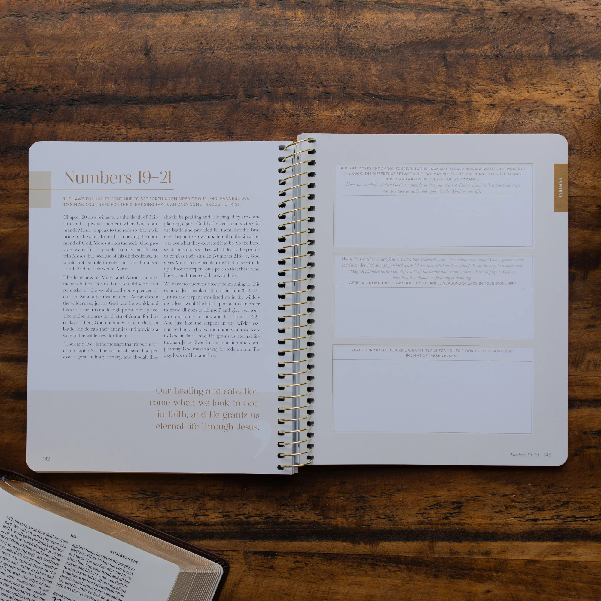 Eden to Eternity | Chronological Bible Study | Volume 1 - Image 6
