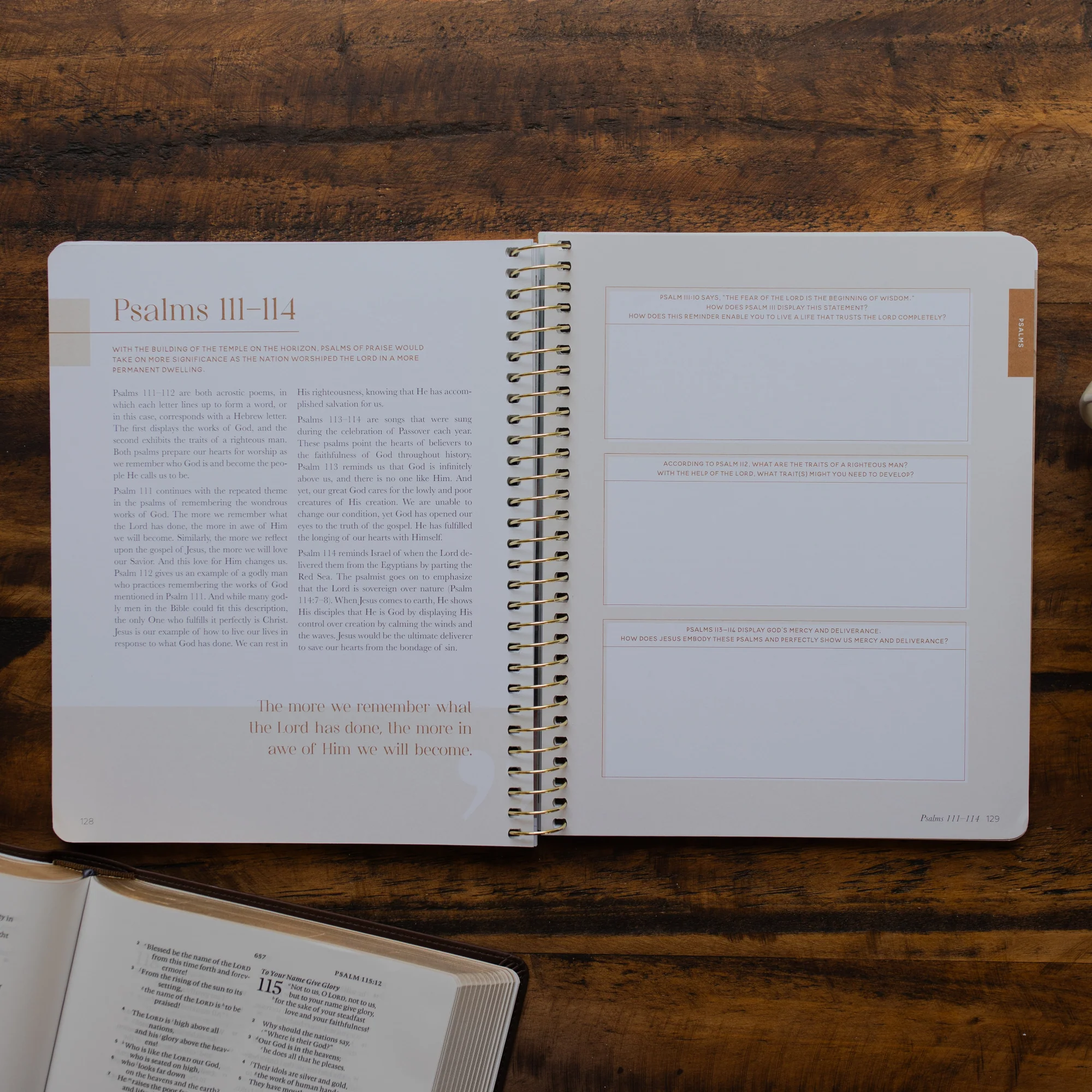 Eden to Eternity | Chronological Bible Study | Volume 2 - Image 3