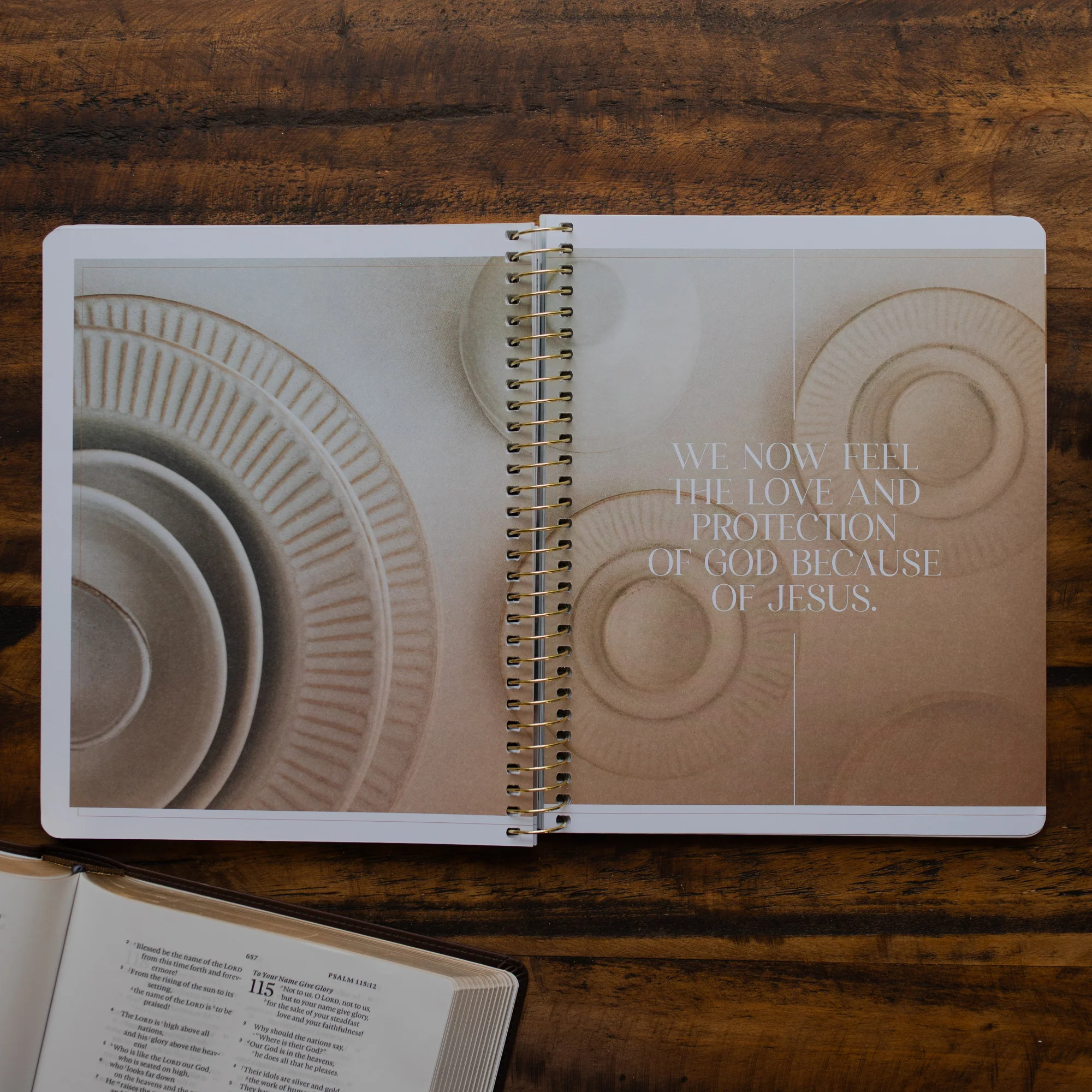 Eden to Eternity | Chronological Bible Study | Volume 2 - Image 4