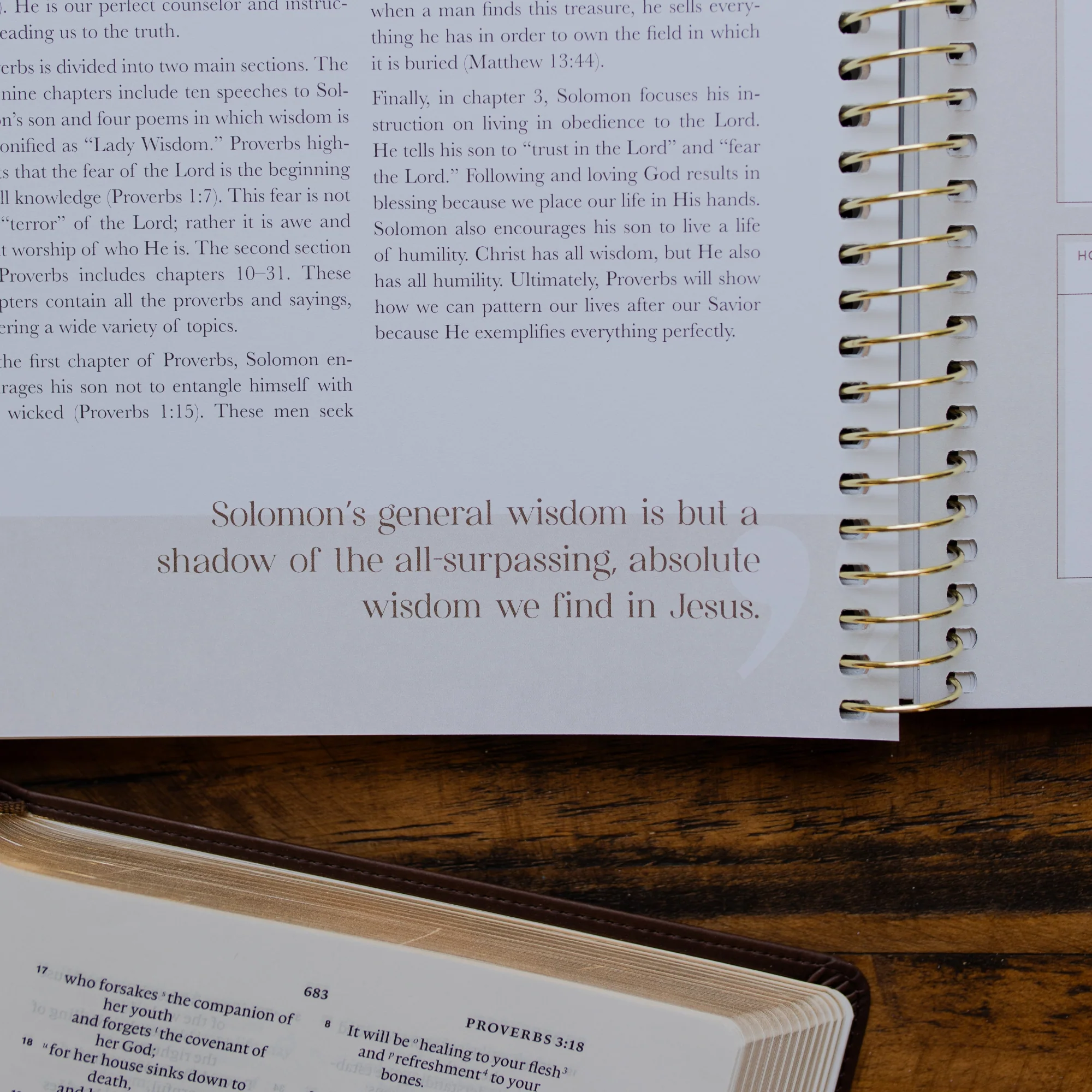 Eden to Eternity | Chronological Bible Study | Volume 2 - Image 6