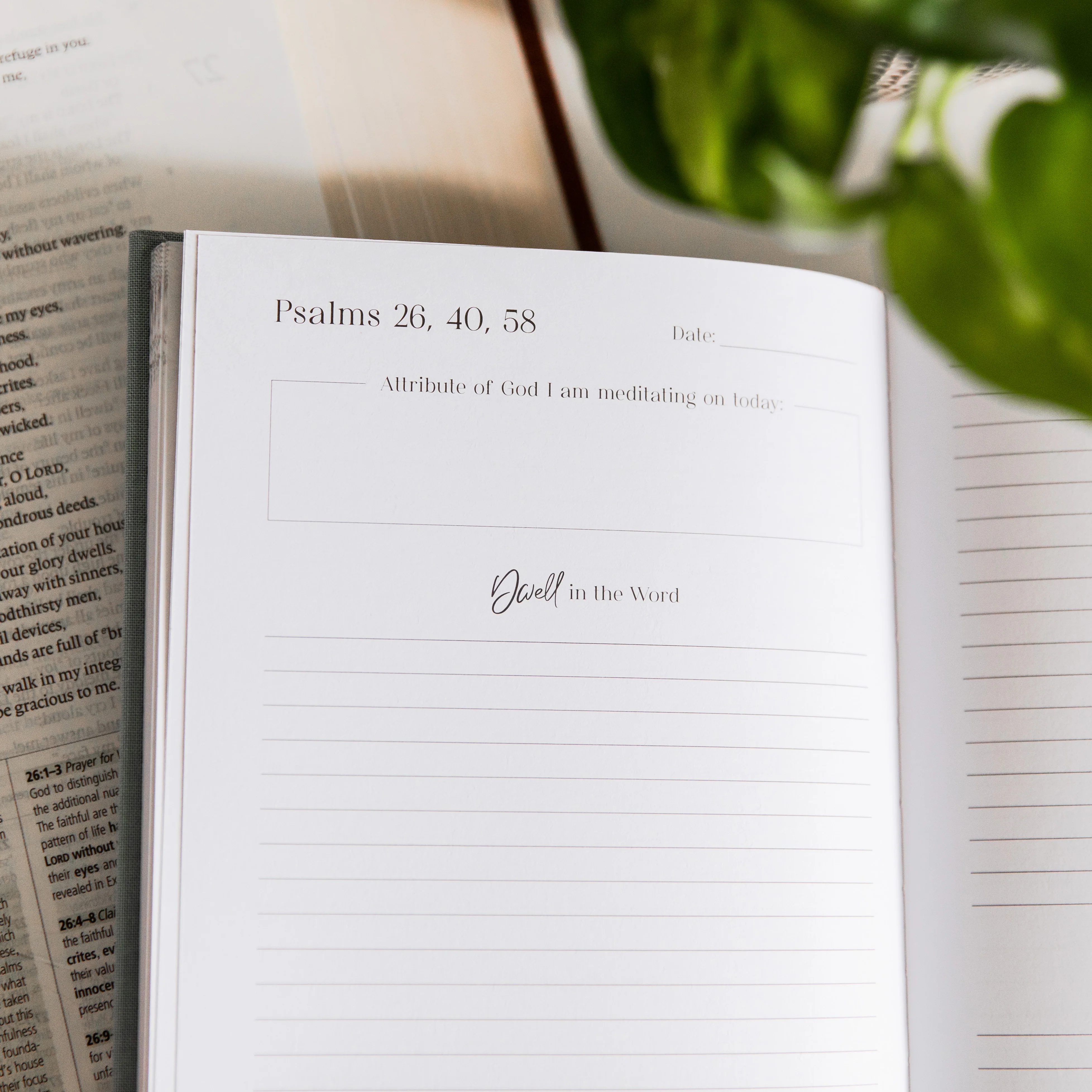 Eden to Eternity Chronological Bible Journal | Vol. 2 - Image 4
